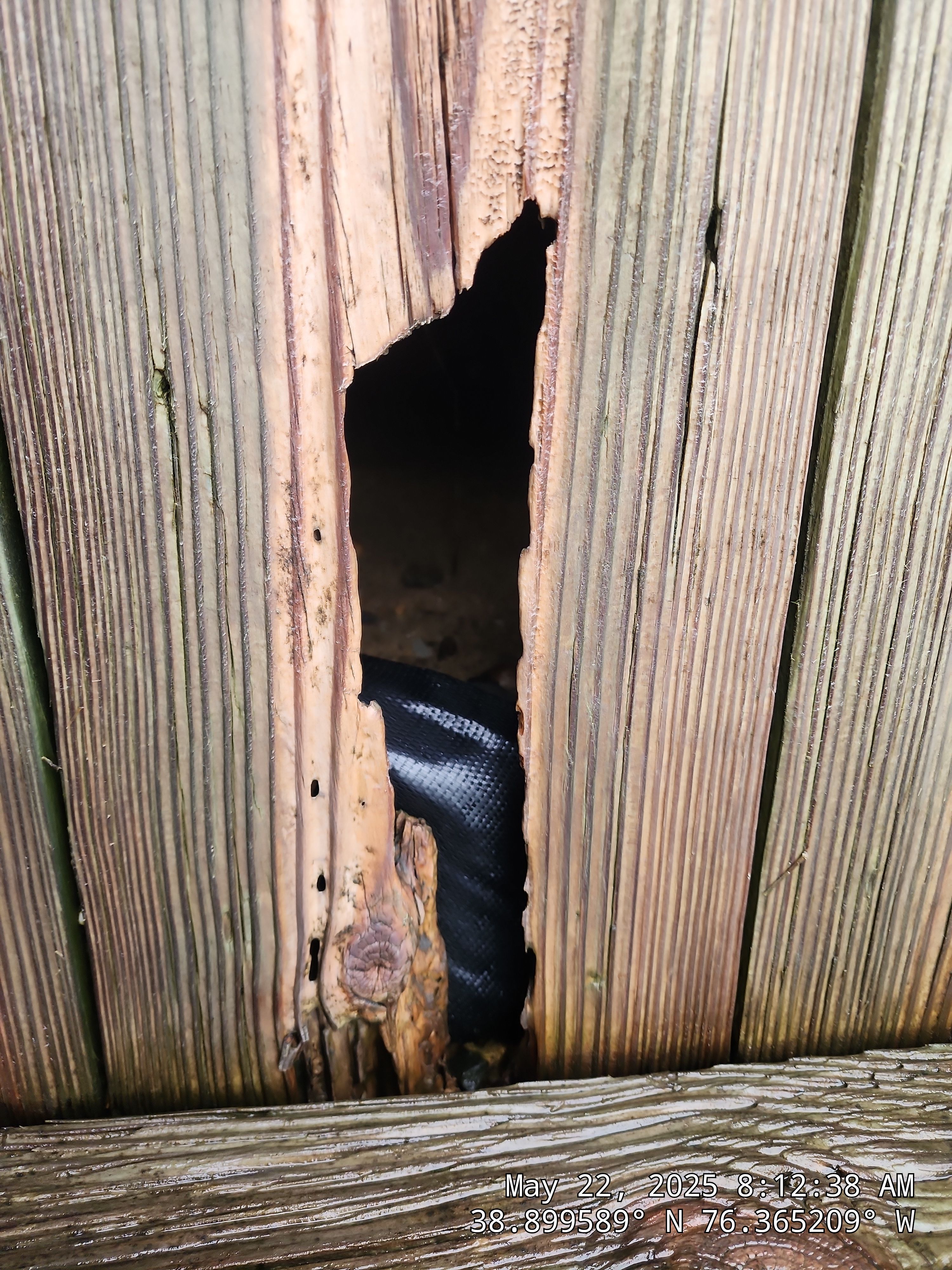 Stevensville Bulkhead Leak Sealing by East Coast Poly Solutions 