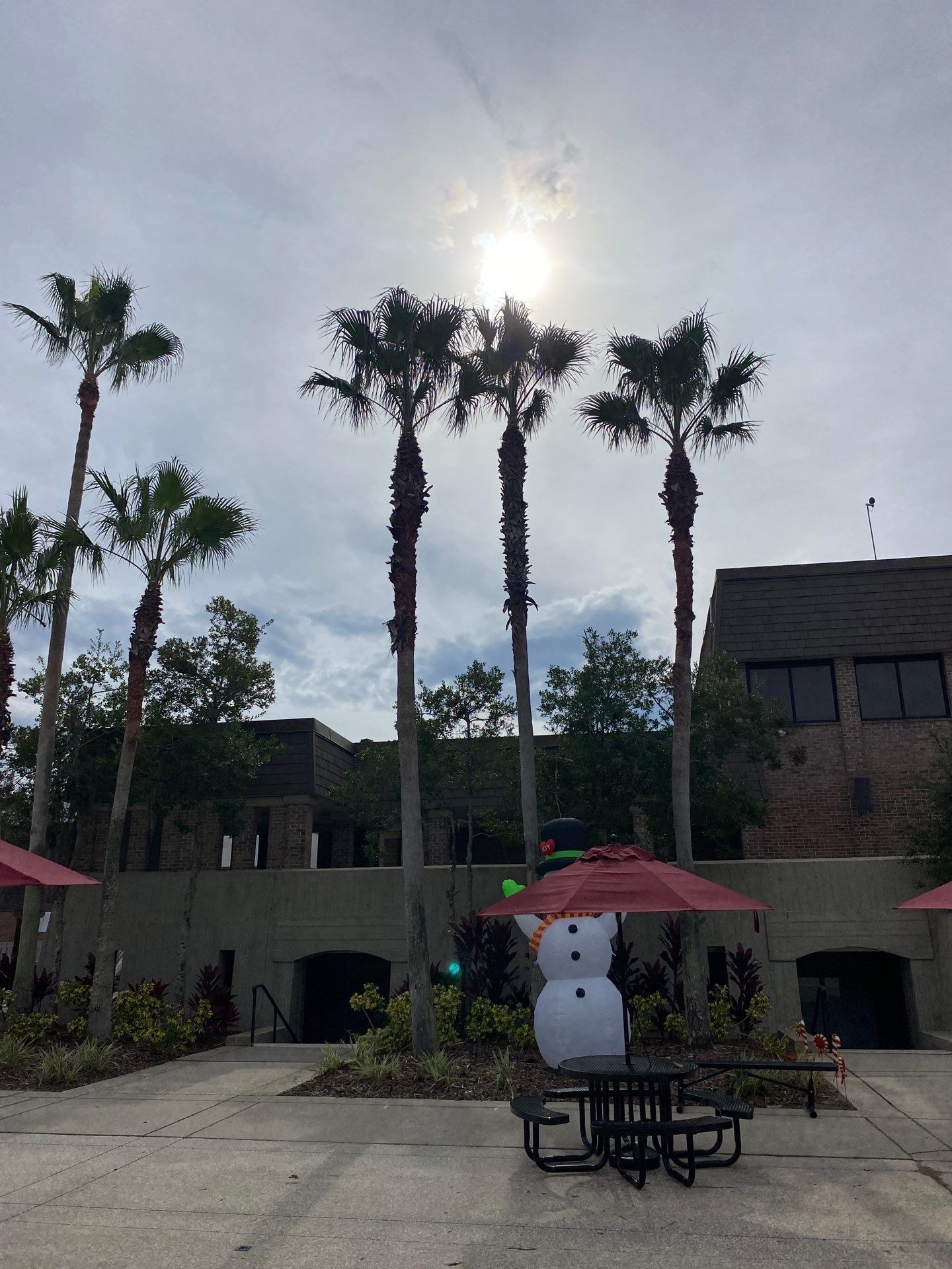 Volunteer Work | Episcopal High School of Jacksonville by ProGreen Services