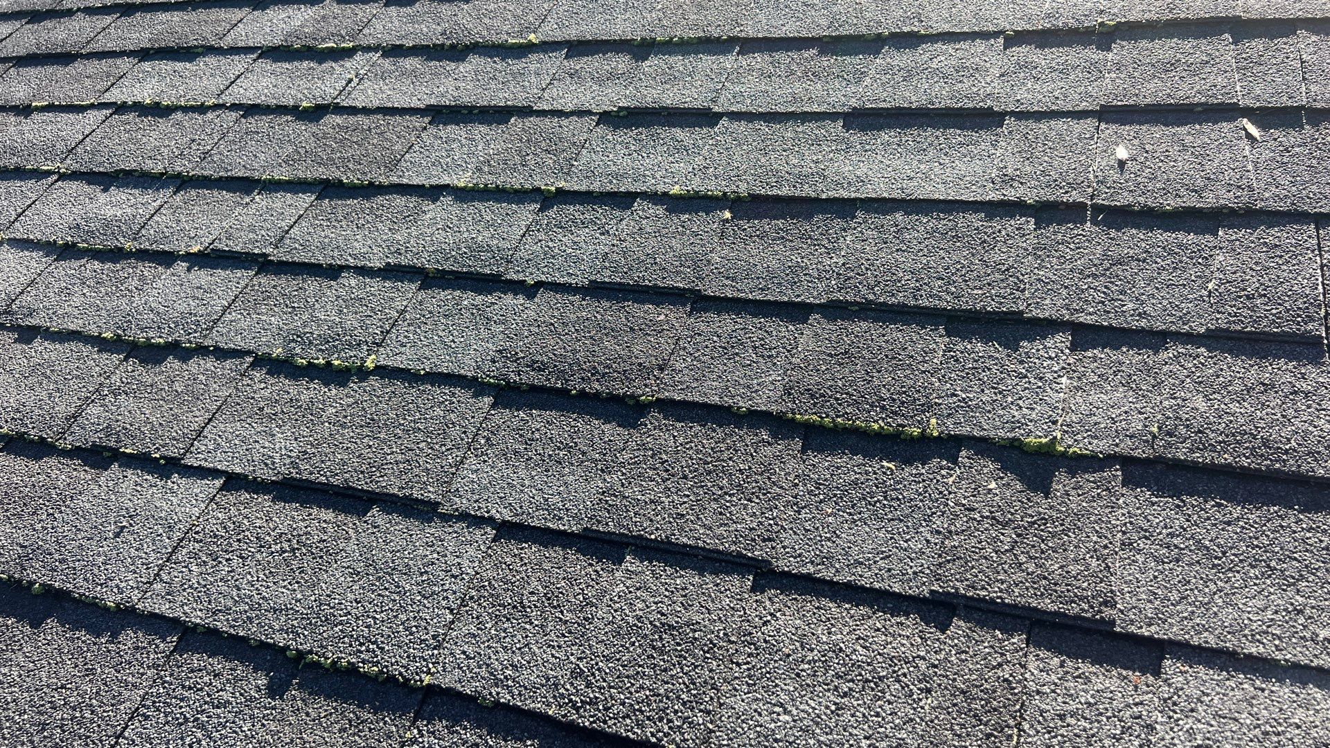Project in Chesterfield by Roof Maxx of Midlothian