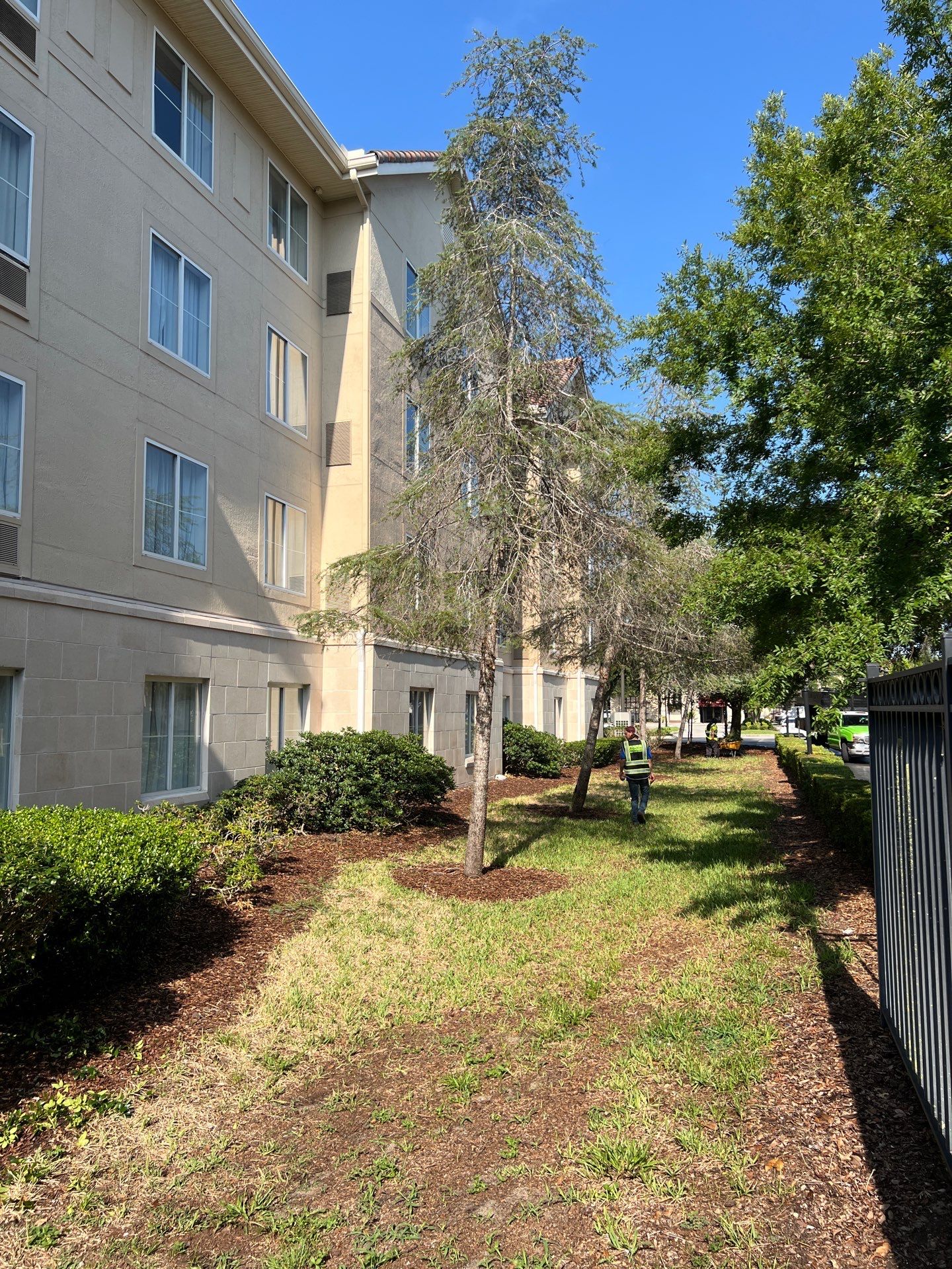 Homewood Suites | Tree Service by ProGreen Services