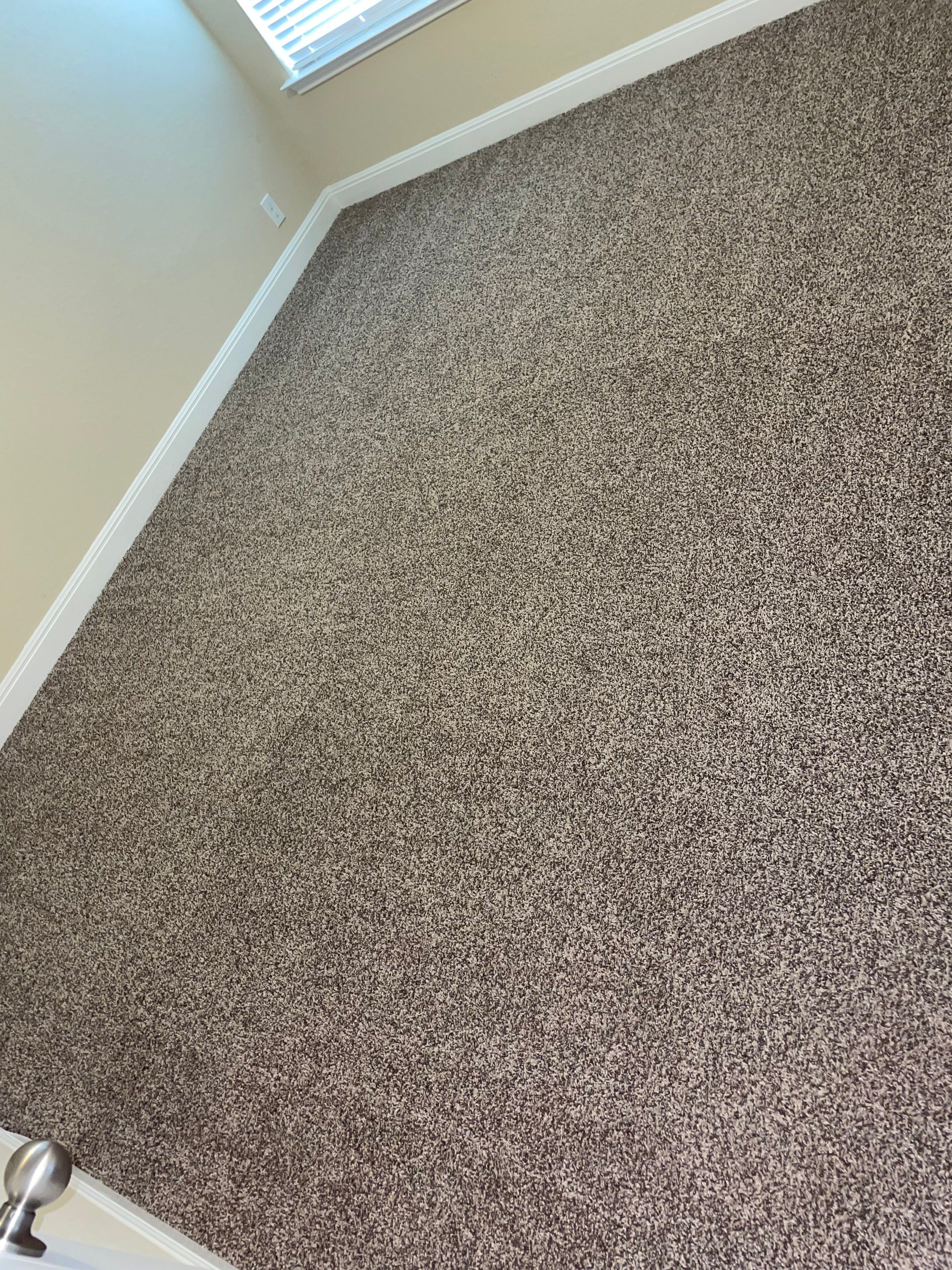 professional carpet cleaning service on a clean neutral-toned carpet in a residential setting with beige walls and white trim