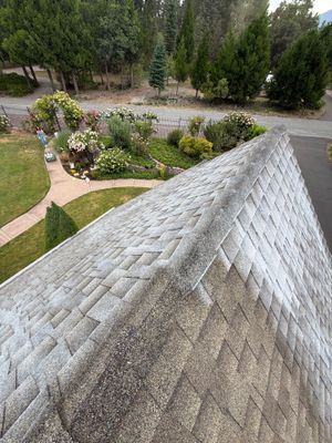 Project in Mt Shasta