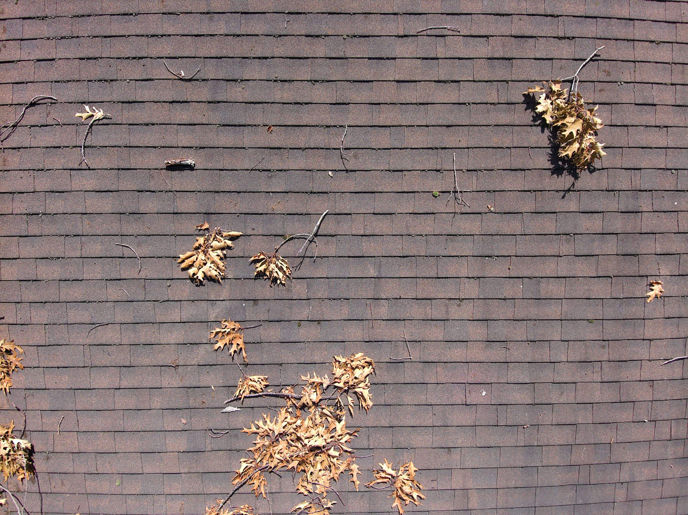 Complete Asphalt Shingle Roof Replacement and Underlayment in Monroe by A Plus Exterior
