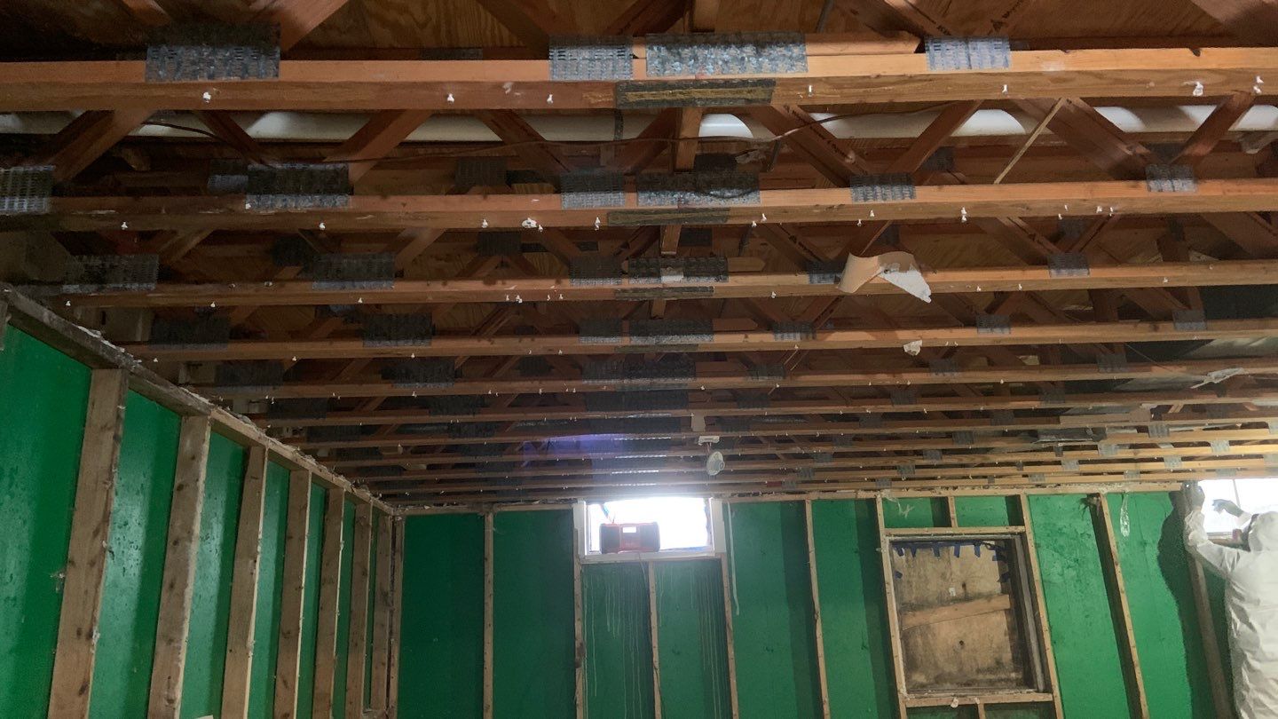 Grossly Contaminated Basement Mold by Chicagoland Water Medics