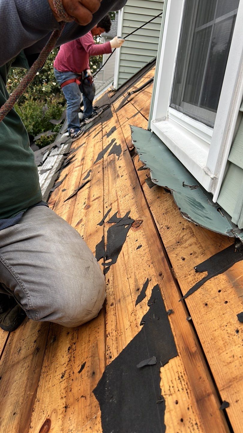 Arlington: CertainTeed Landmark Architectural Shingle in Georgetown Gray by RM Banning, Inc.