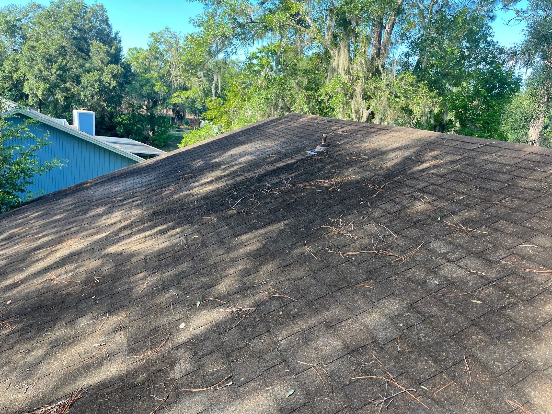 Shingle -> Shingle by Prime Roofing