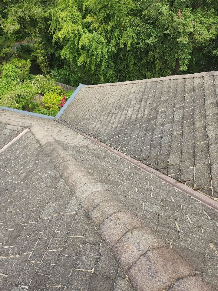 Moss Treatment using Biocide by Willamette Outdoor Wash LLC