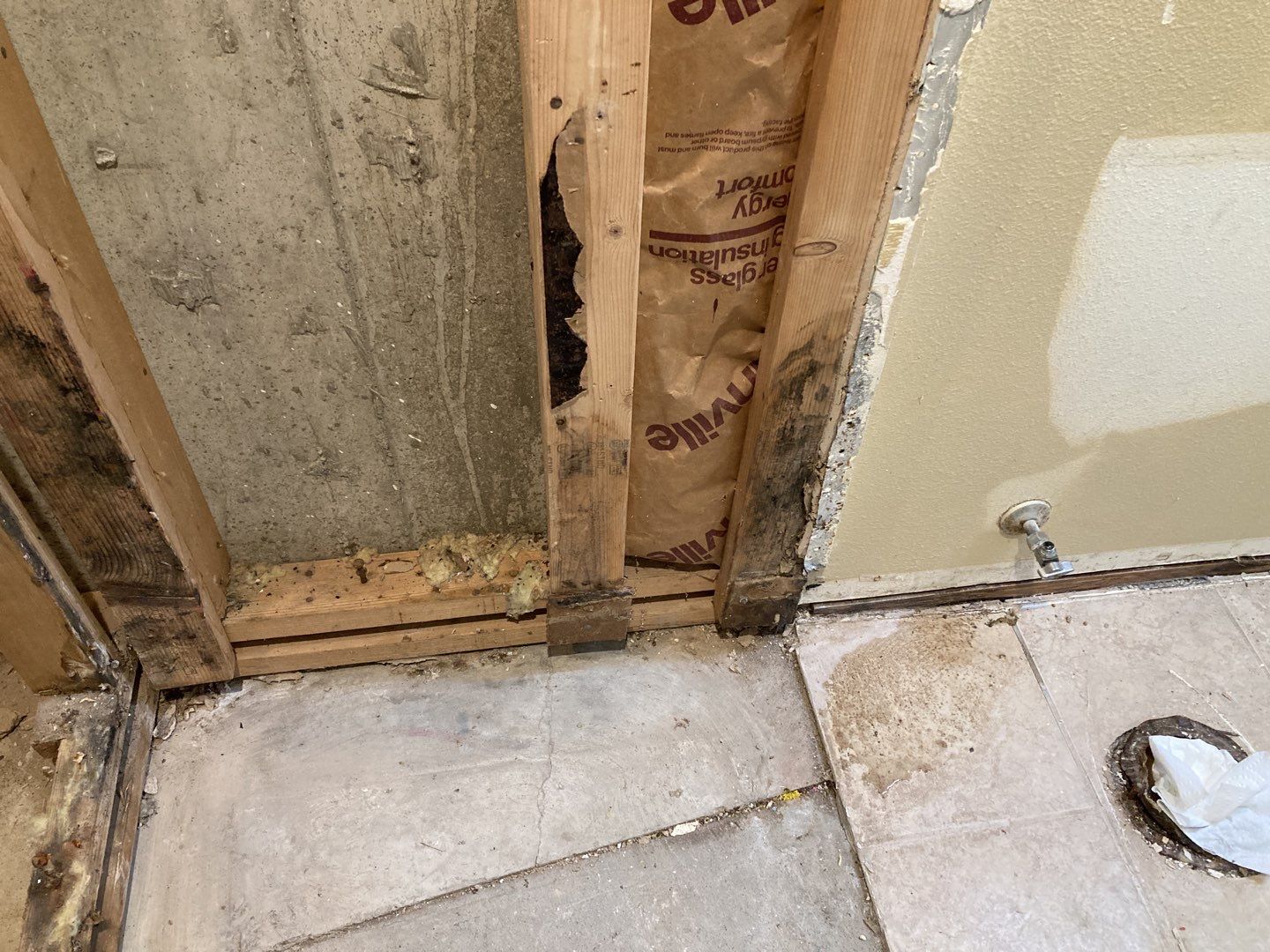 Mold Remediation by Accountable Home Services