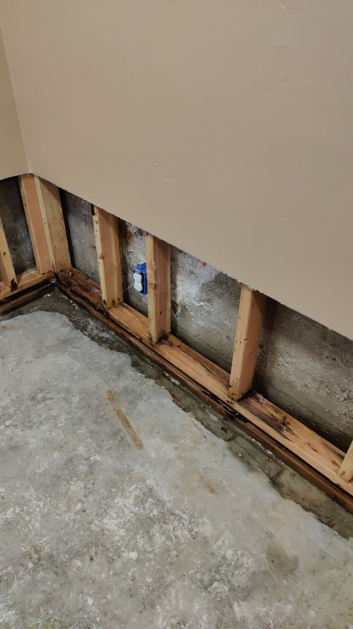 Water Damage and Mold Remediation by Accountable Home Services