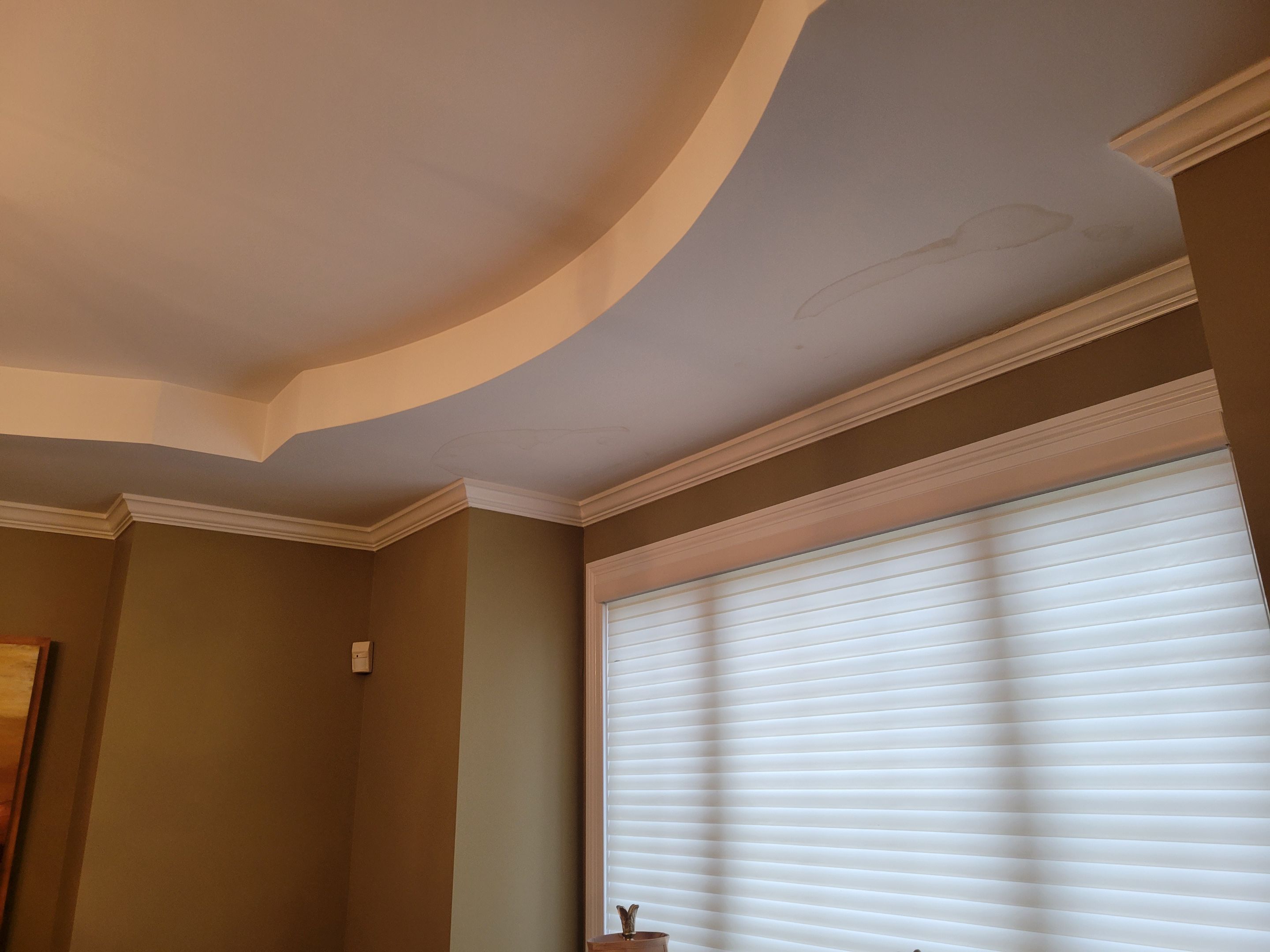 Multiple Roof Leaks by Chicagoland Water Medics