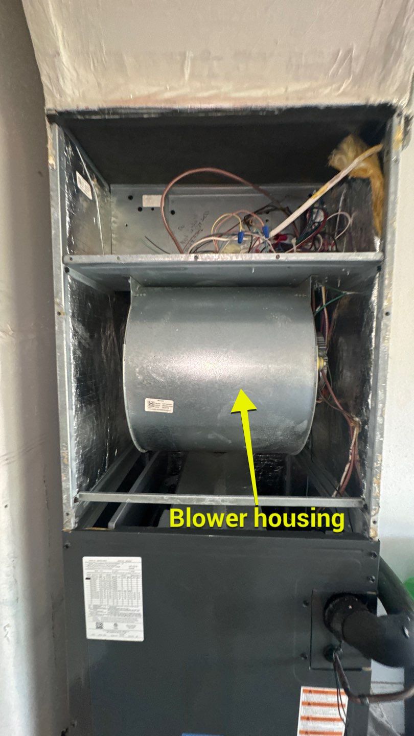 Air Duct Cleaning in Clermont by Hygienic Air, Inc