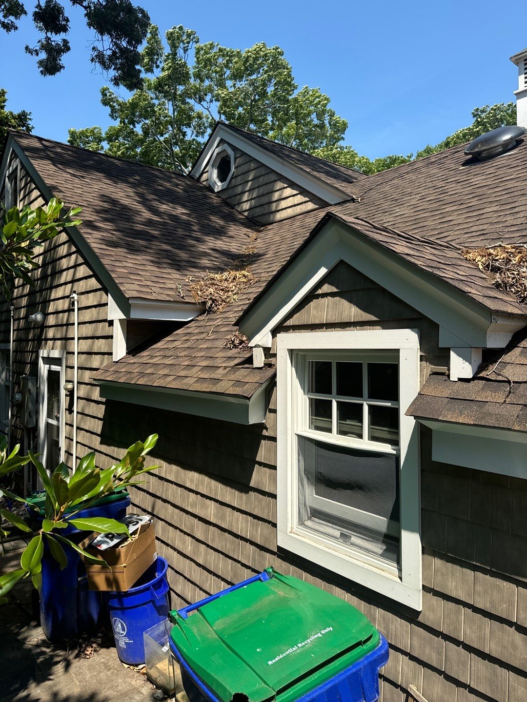 Multi Service using Roof Wash by SJ Exterior