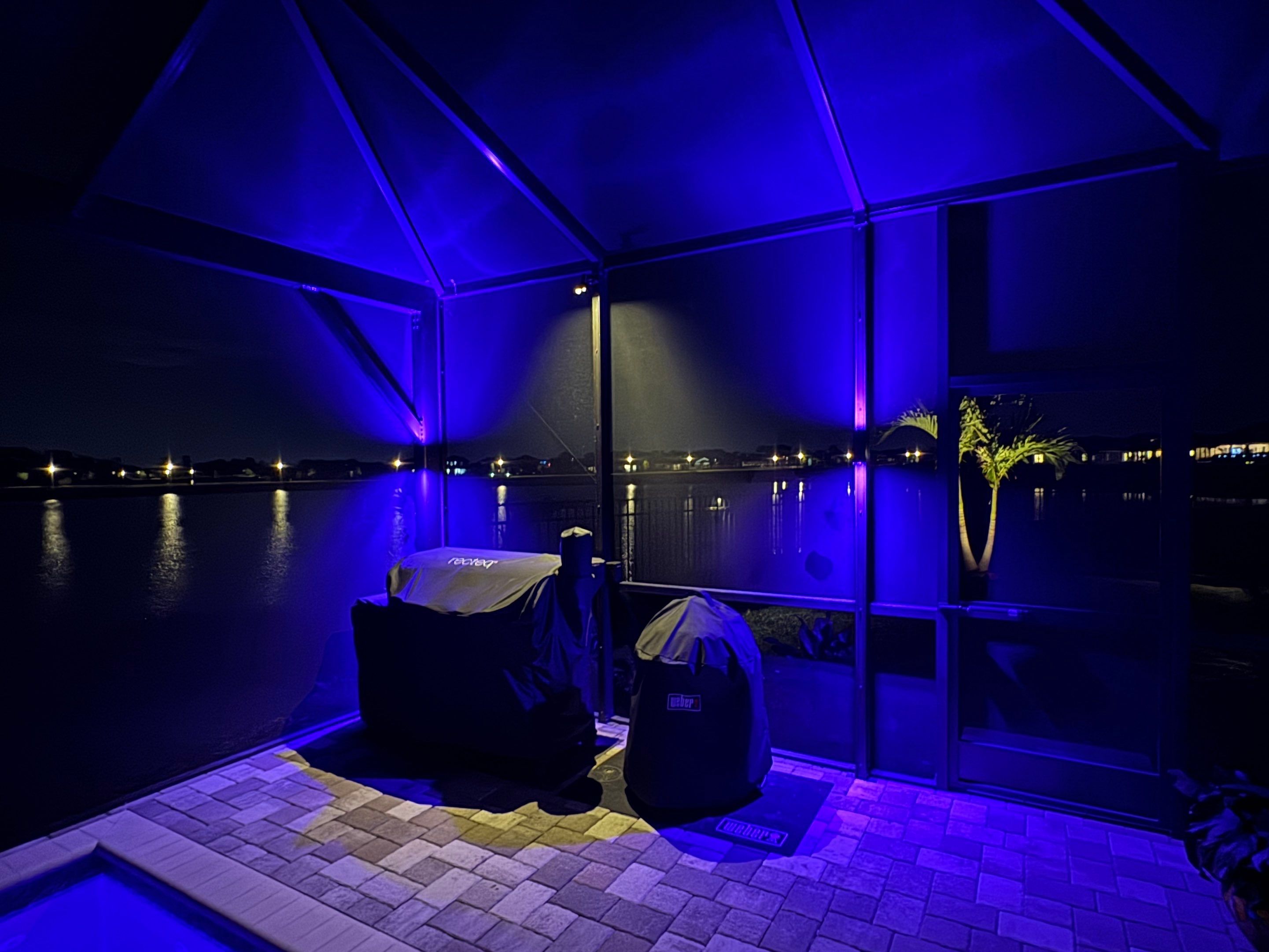Custom Landscape and Pool Enclosure Lighting Installation in Apollo Beach by Elegant Accents