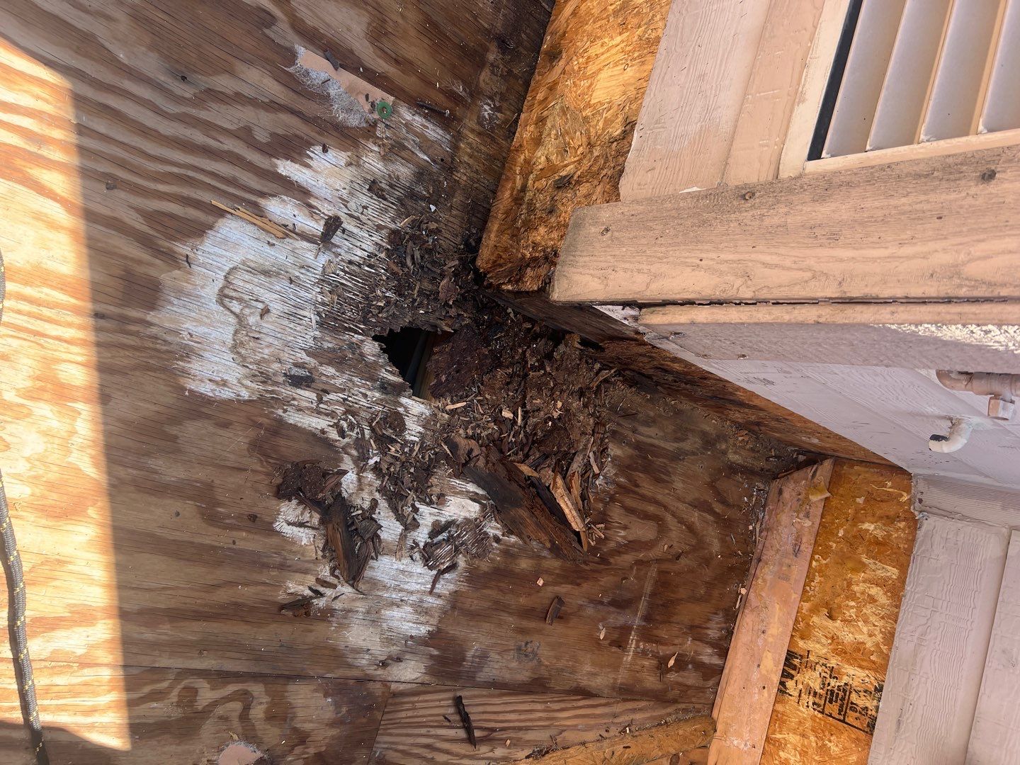 Project in Dallas by Armor Roofing | Exteriors