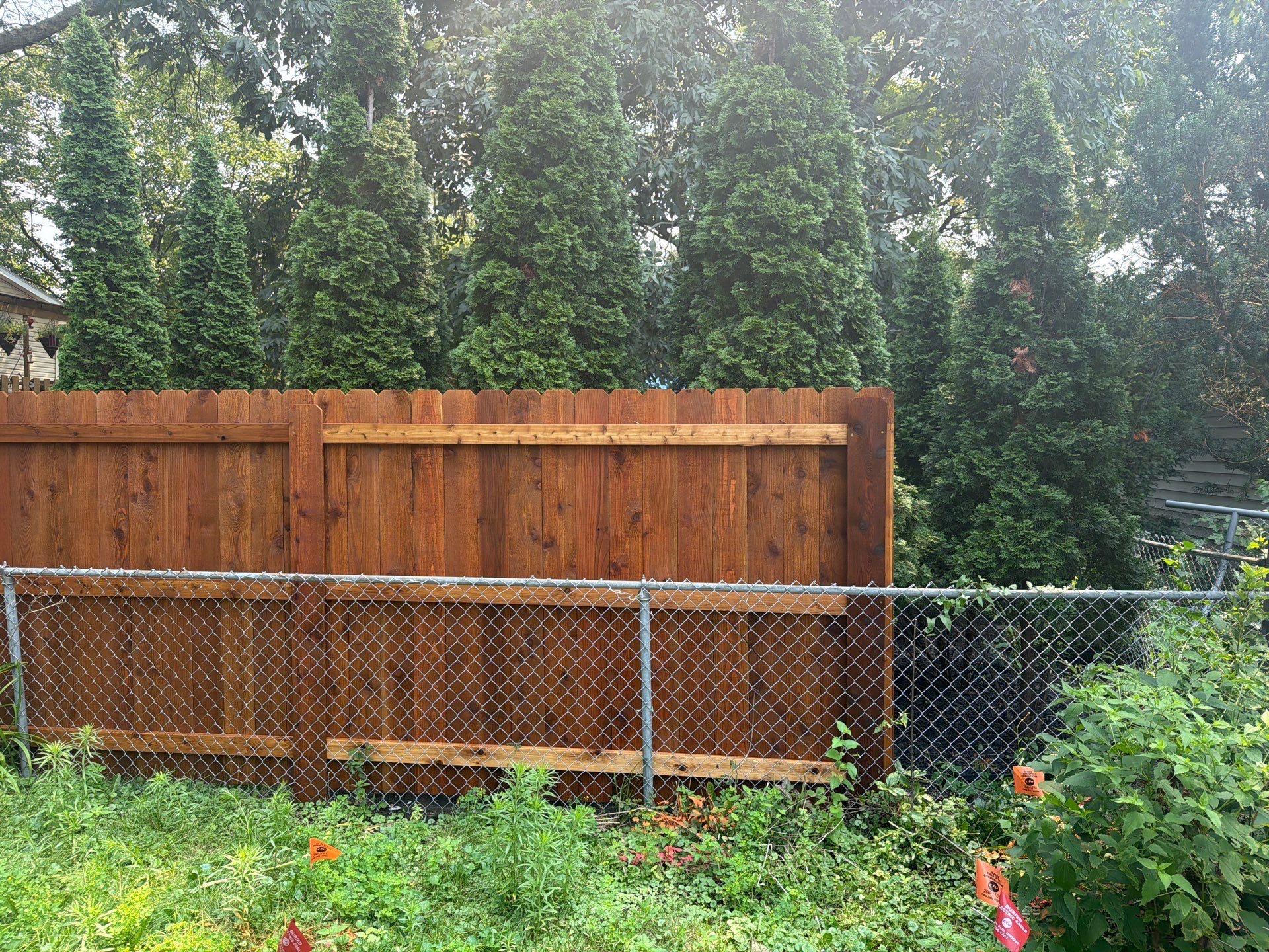 Pecan Cedar Privacy Fence Installation with Scalloped Top in Cedar Falls by Perfect Picket Fence and Stain
