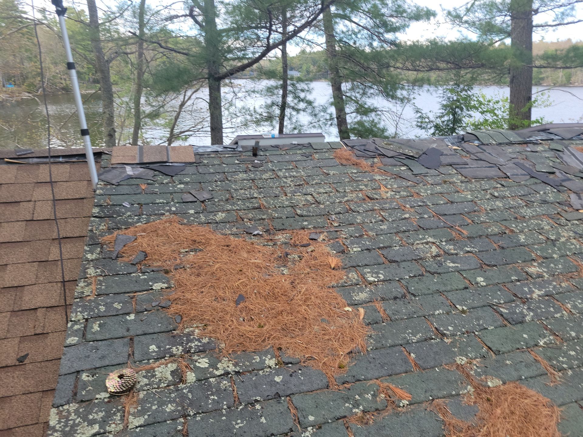 ReRoof using IKO Dynasty by The B.A.R Roofing