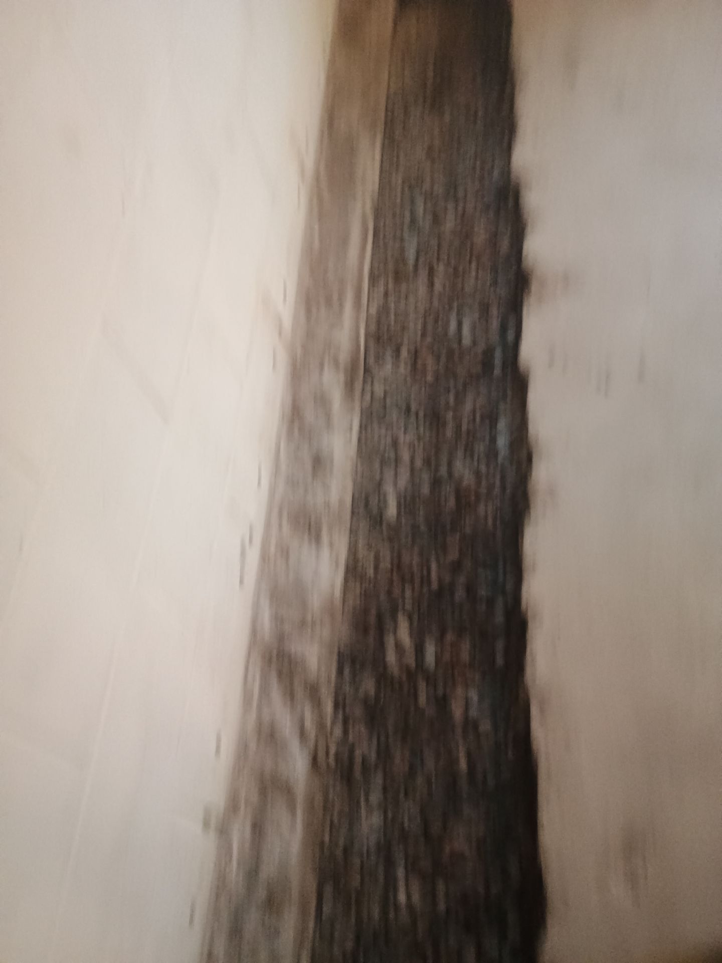 Tying Into an Existing Drain Tile System for Alec by Waterproofing Northeast