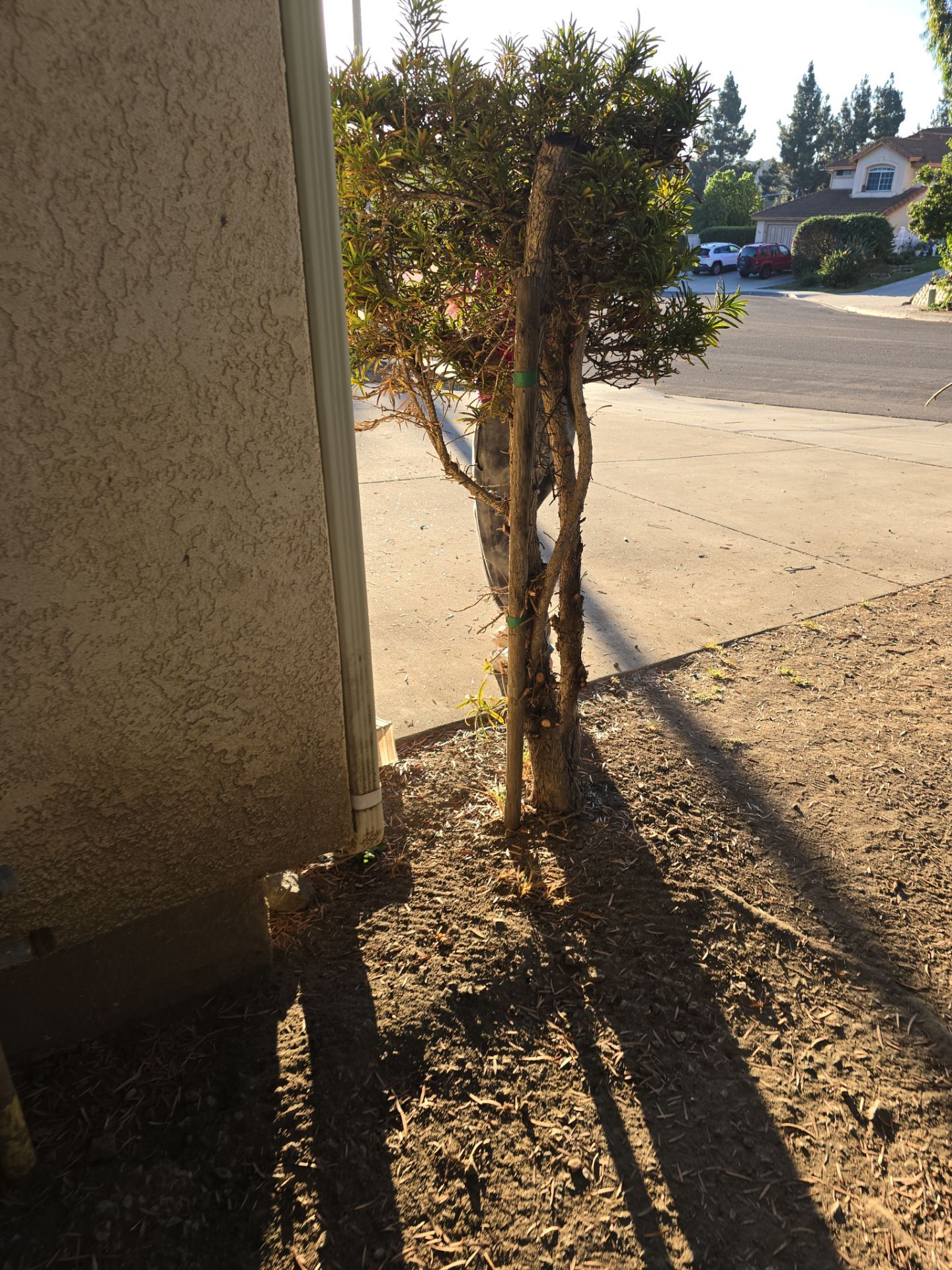  Outdoor Water Faucet and Water Piping Inspection by Us Plumbing 