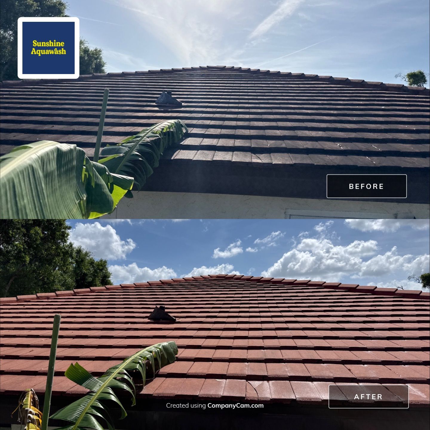 Tile Roof Cleaning in Vivienda at Bradenton, FL | No Roof Walking Method by Sunshine AquaWash