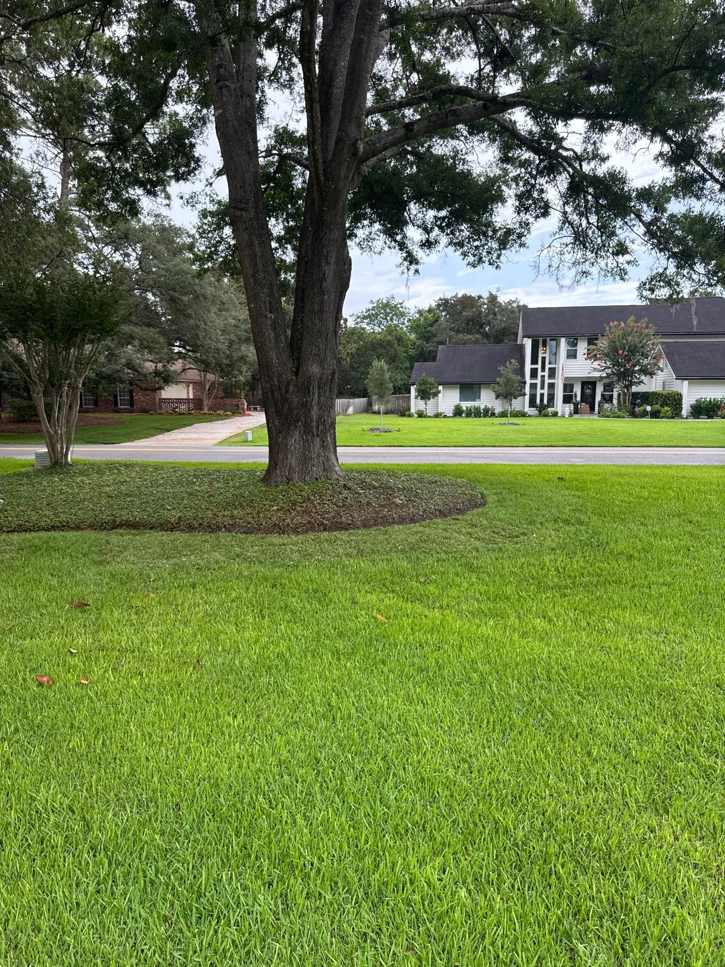 Deerwood Resident | Sod & Plant Installation by ProGreen Services