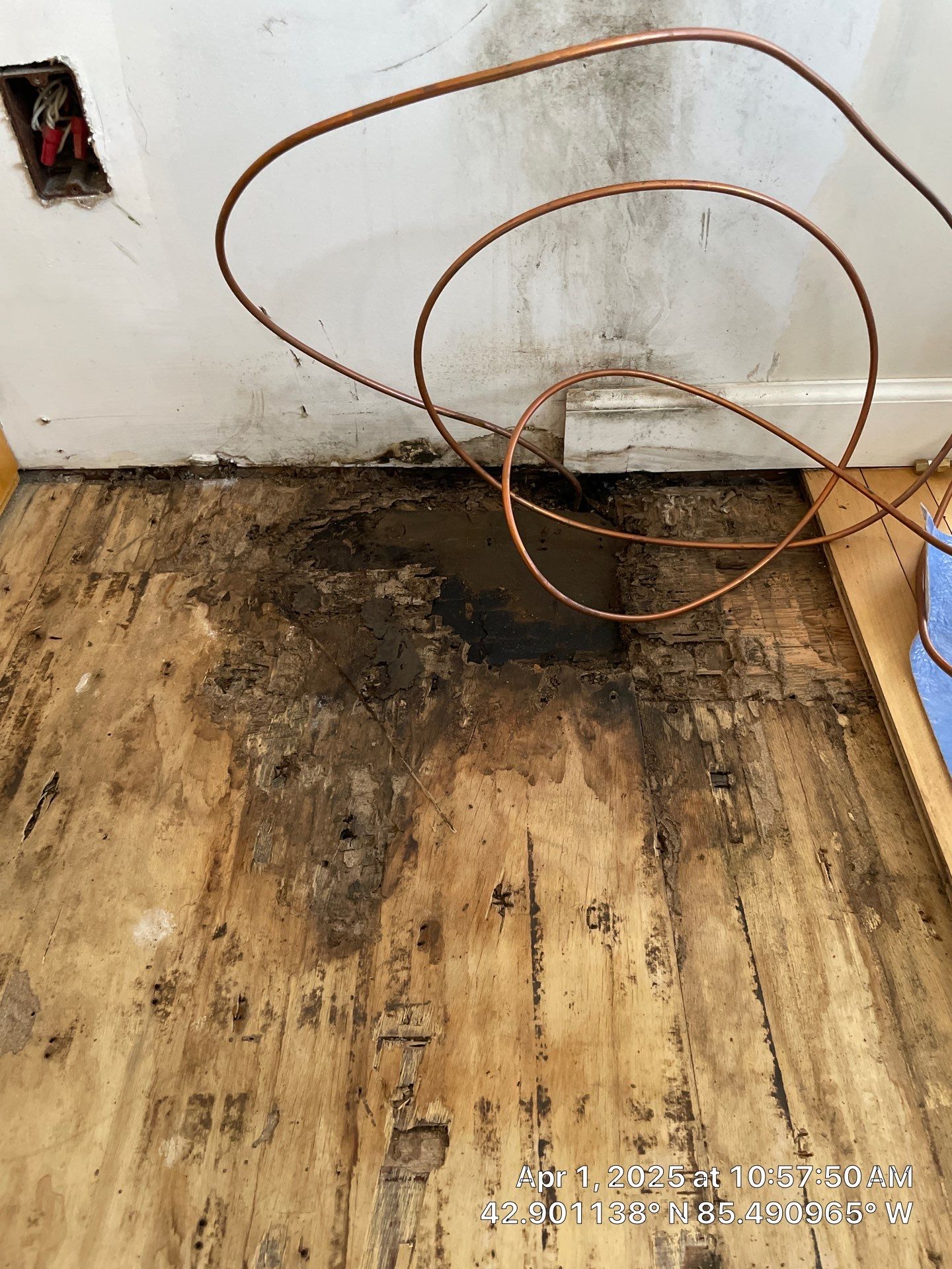 Water Damage Restoration On Solid Birch by RTBaldwin Hardwood Floors