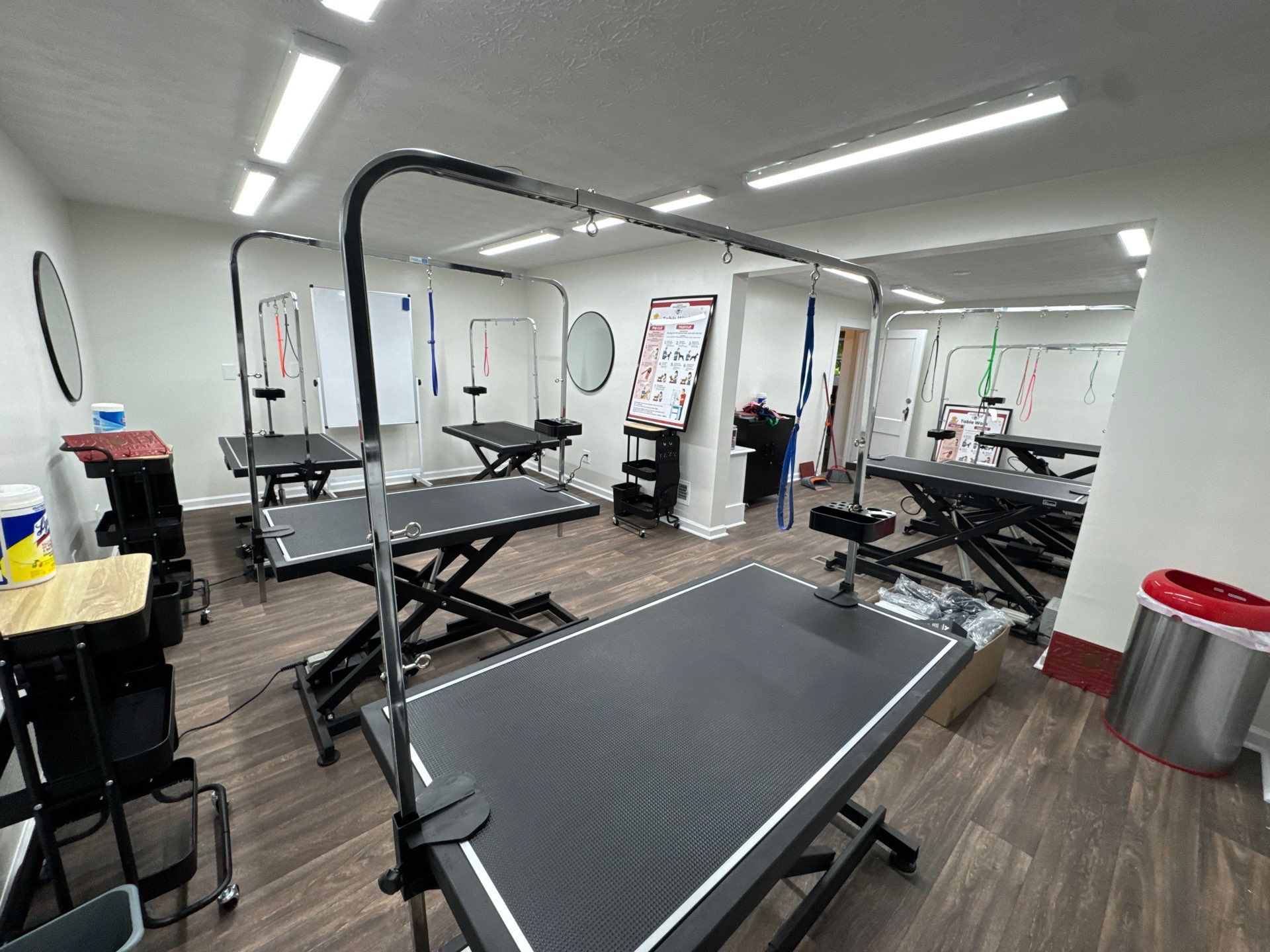 Commercial Pet Grooming Salon Interior Remodel in Powder Springs by Swift Home Renovations