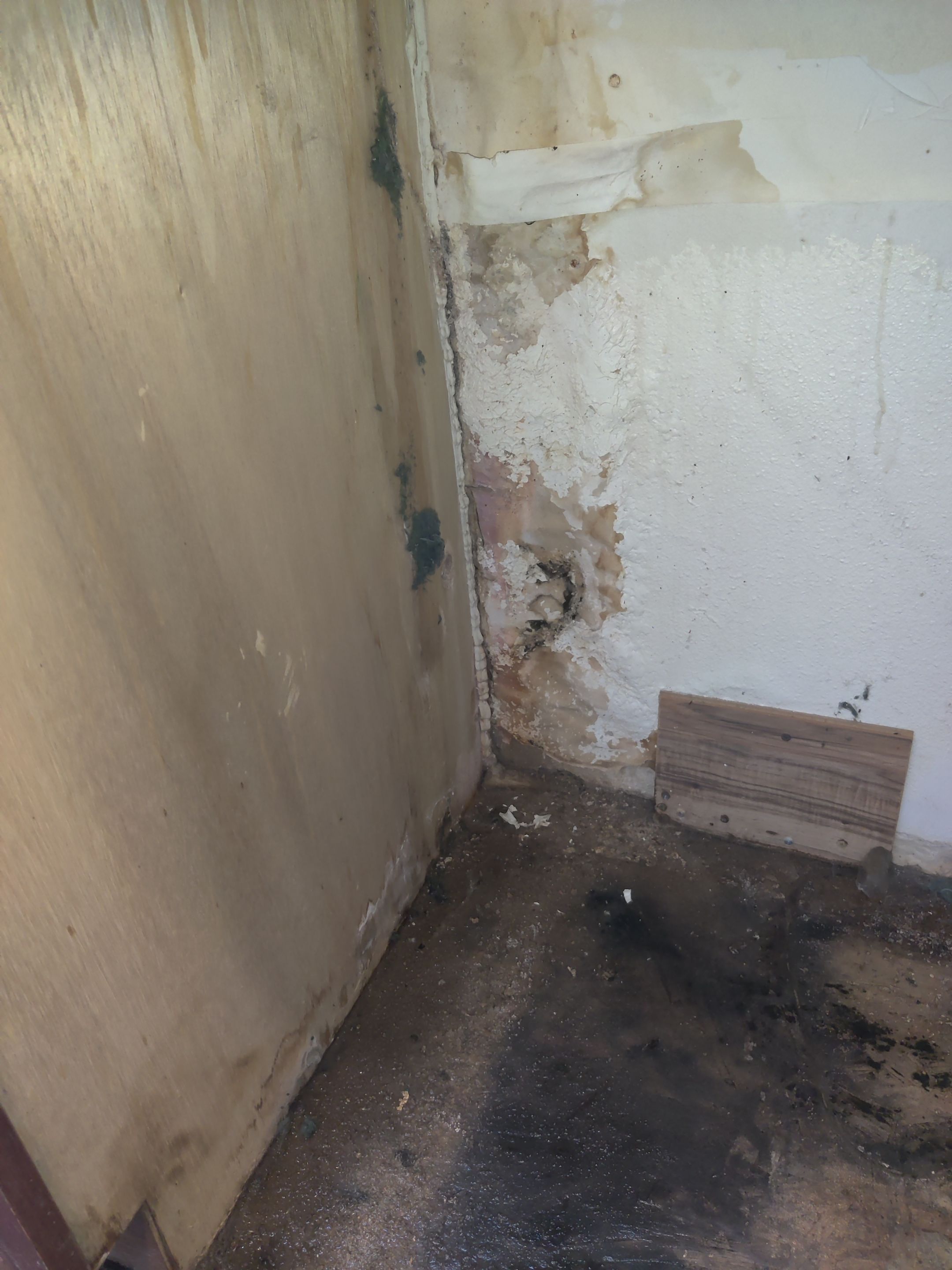 Mold Remediation using Containment by Accountable Home Services