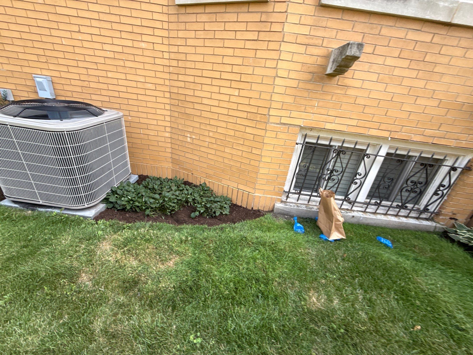 Nancy M. - Park Ridge, IL by A&N