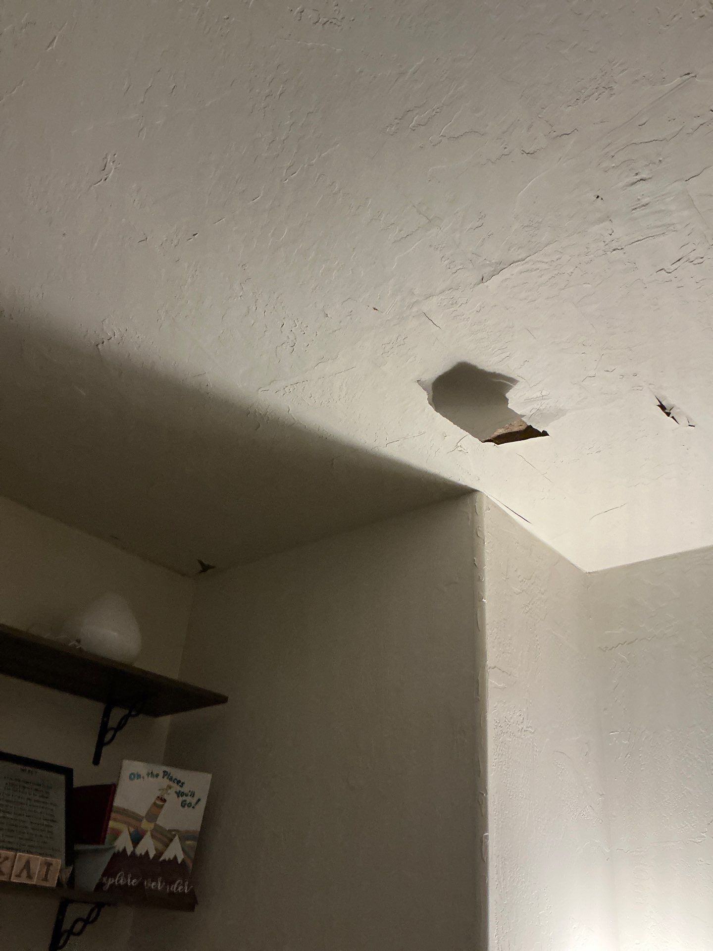 Roof & Solar Reinstallation by Grandmark Service Company