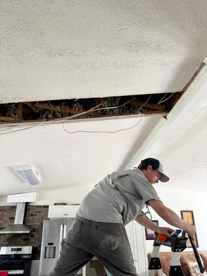 Ceiling Mold Removal