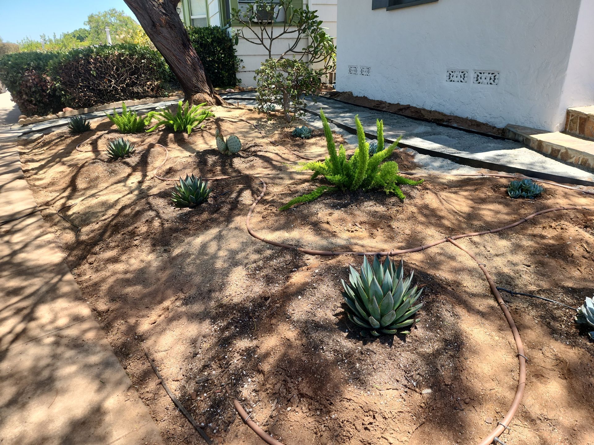 Xeriscape Transformation with River Rock and Irrigation in San Diego by Yard Techs