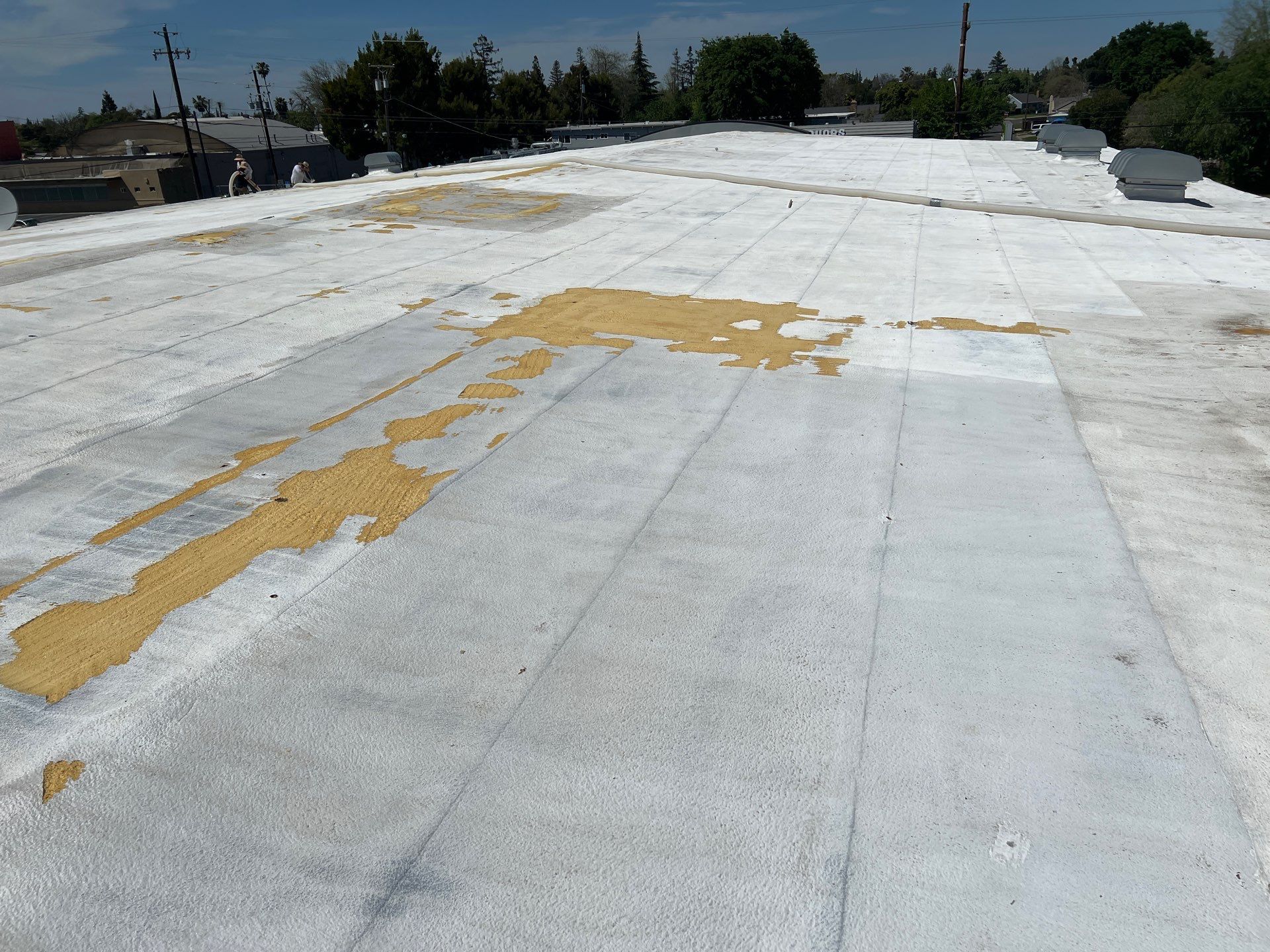Foam Refurbish using Conklin Benchmark/PUMA XL coatings and spray foam by Straight Edge Roofing Inc