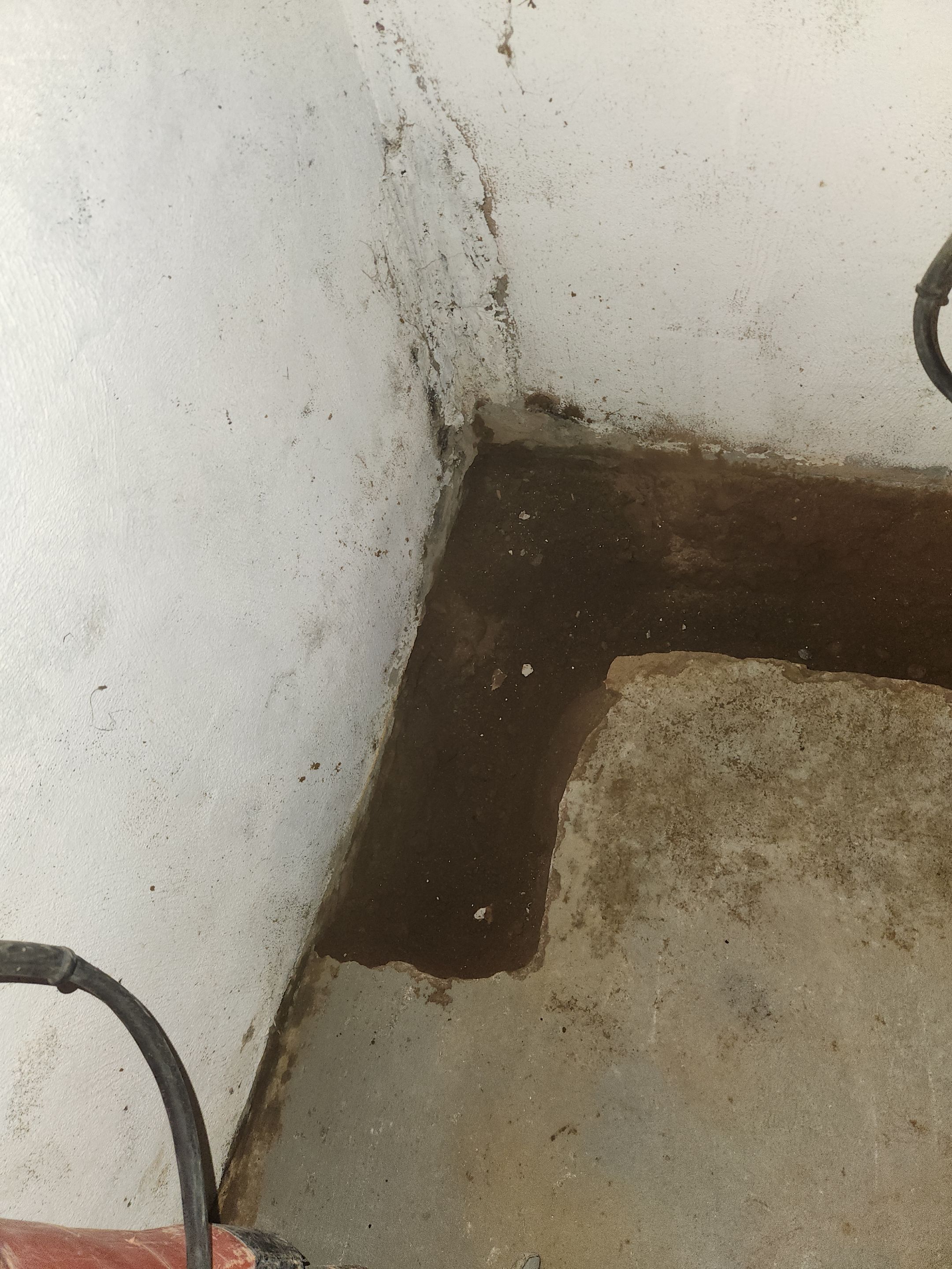 Interior French Drain & Mold Remediation in Mt Tabor NJ by Pure Service Pro, LLC 