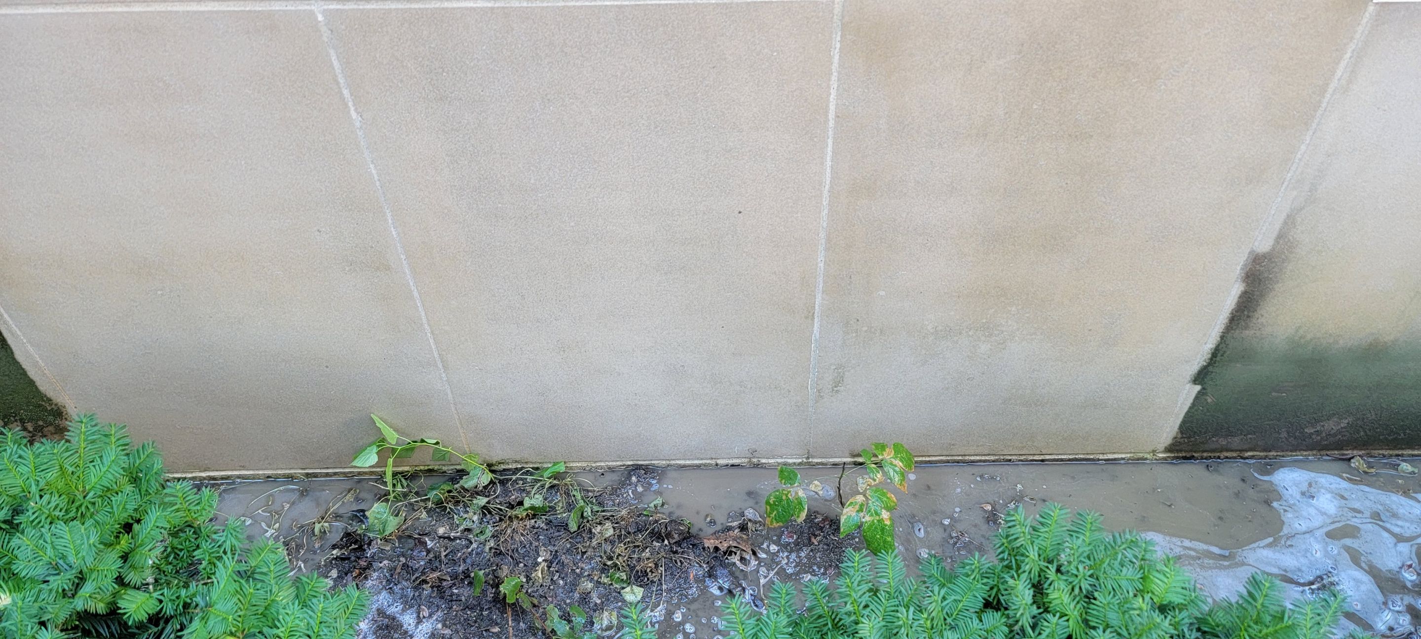 Courtyard pressure washing difficult access.  by Northern Power Washing LLC.