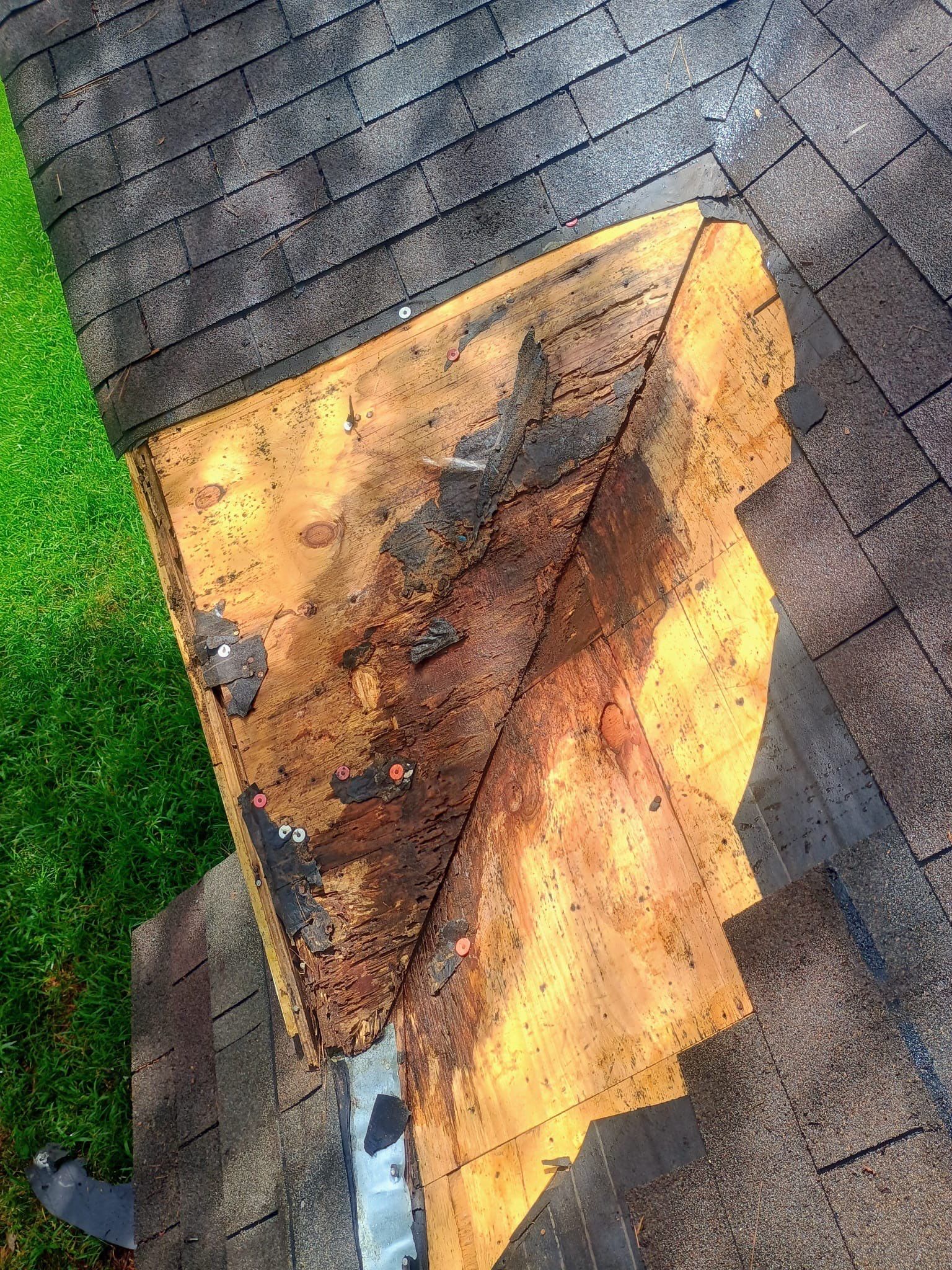 Roof Repair Spring by Roof Repair Company