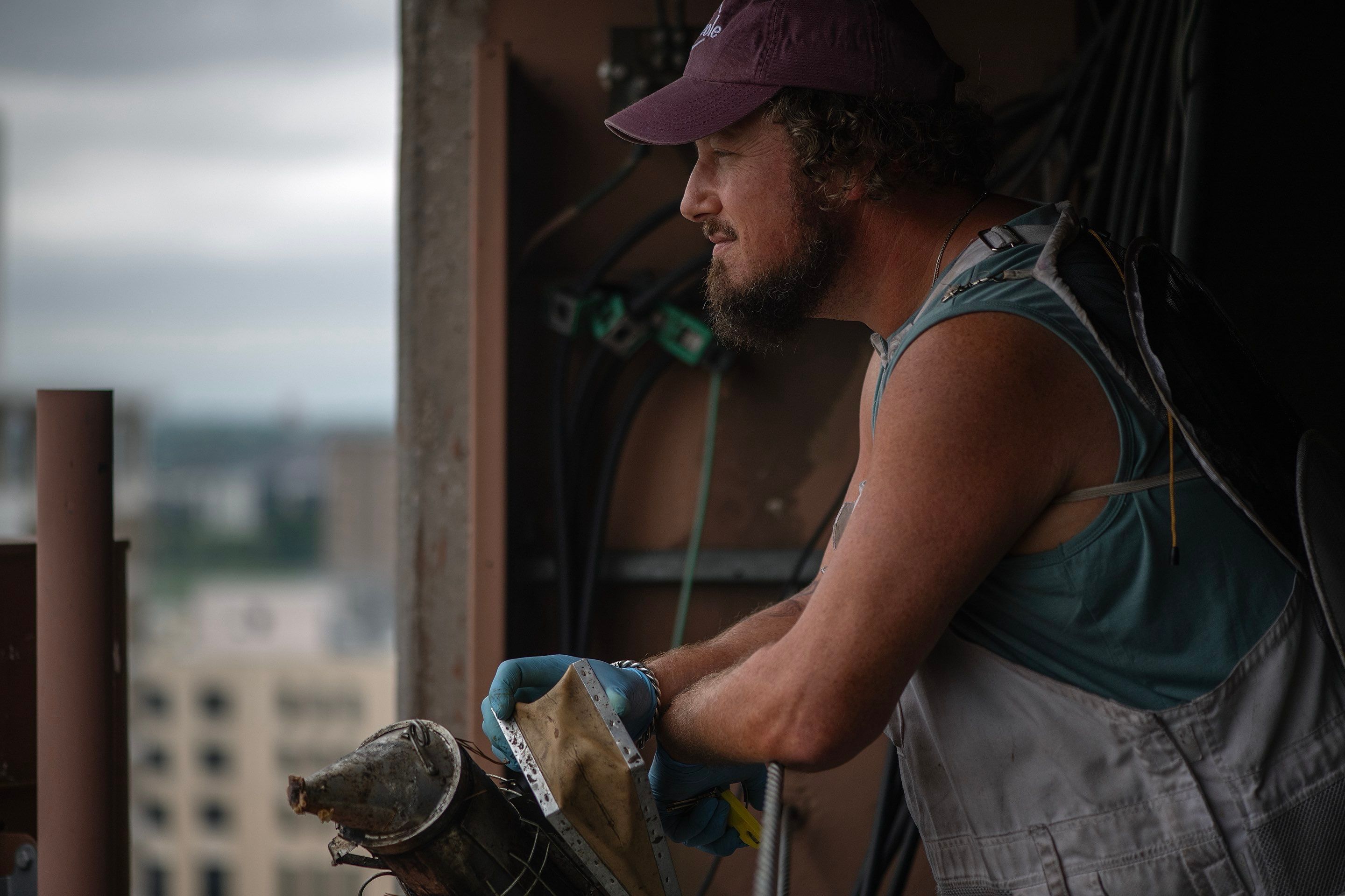 Urban Beekeeping in Dallas by Rockwall Honey Bee Company
