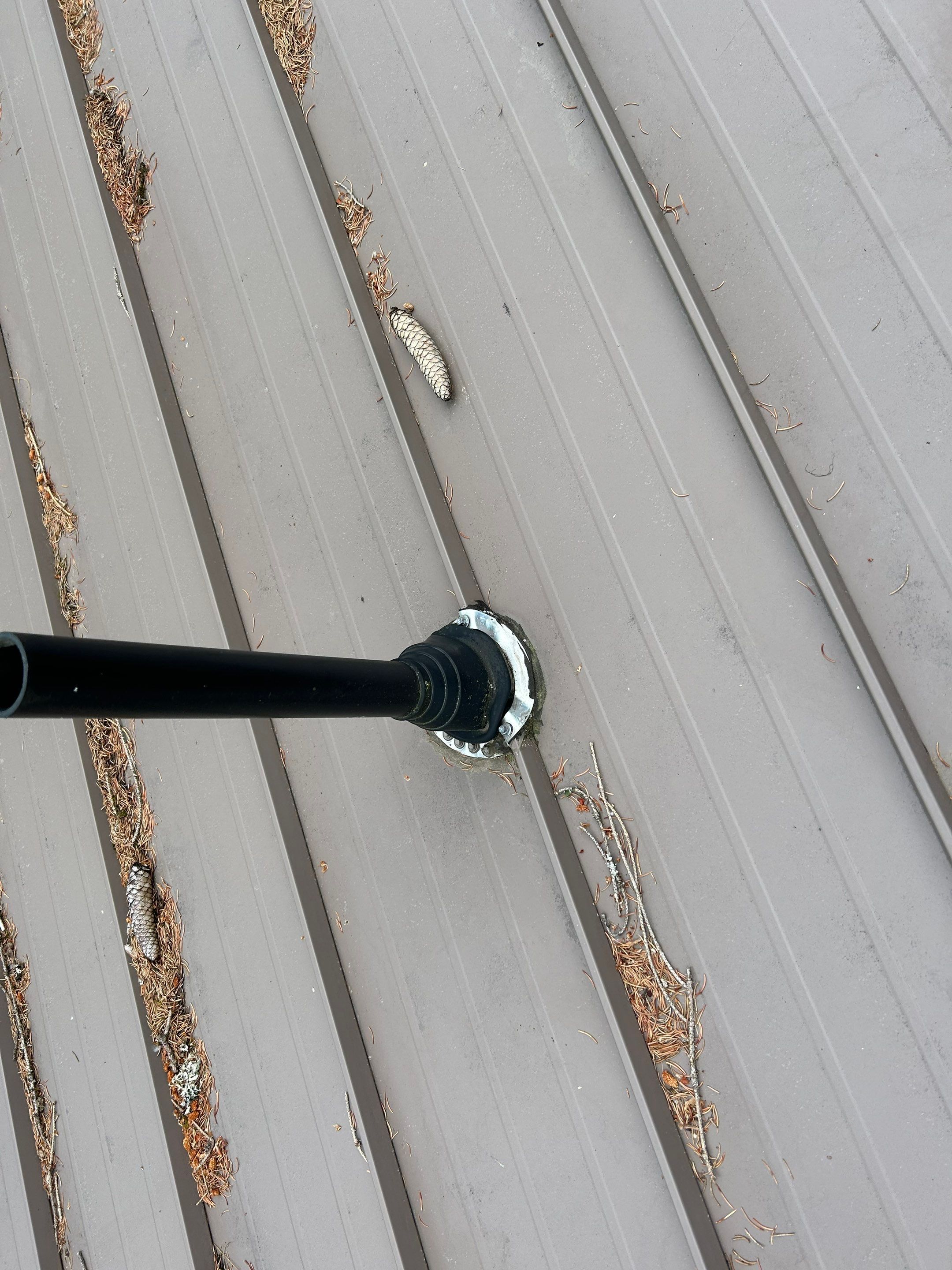 Roof Cleaning in Portland by Prodigy Roof Solutions