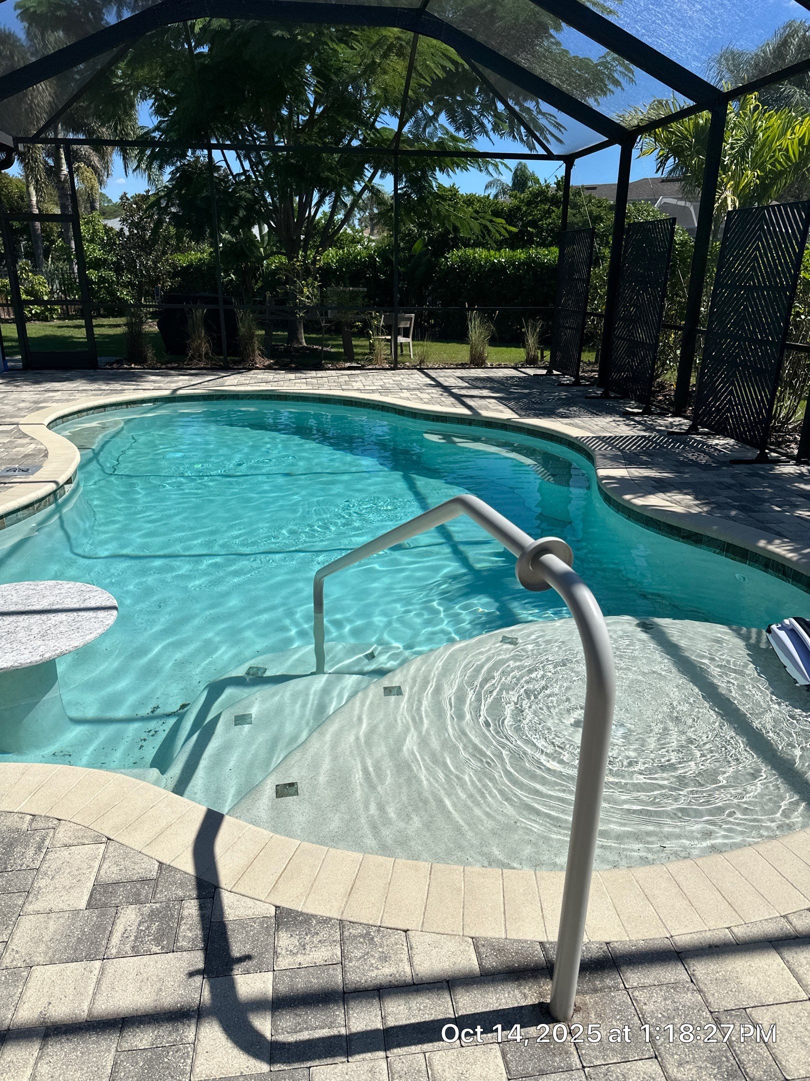 Residential Paver Sealing for Driveway and Pool Deck in La Paloma Sun City Center by Supreme Paver Experts