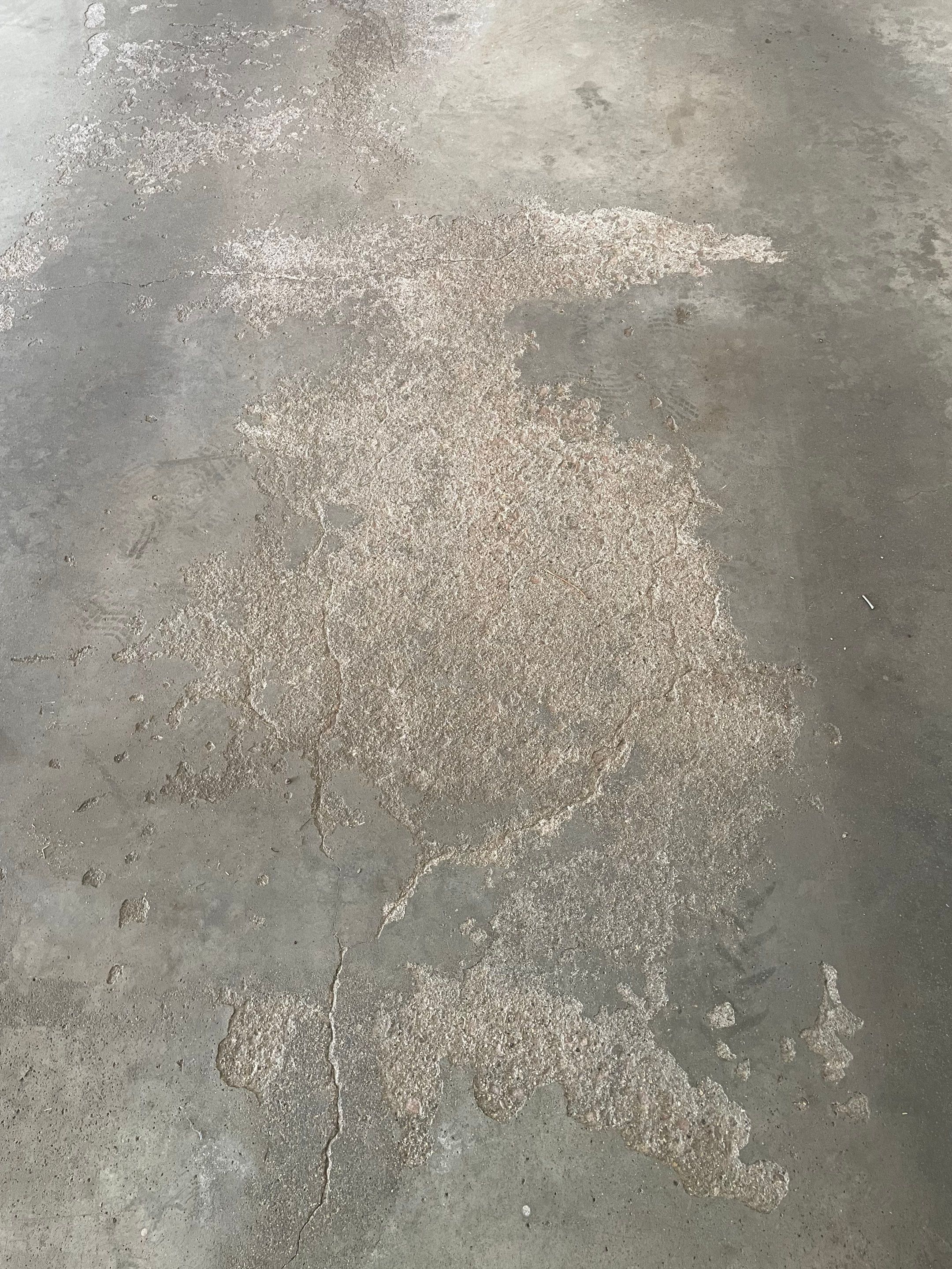 Yankton Garage Floor Restoration with Gray Speckled Epoxy Coating by Select Painting, Coatings & Garage Cabinets