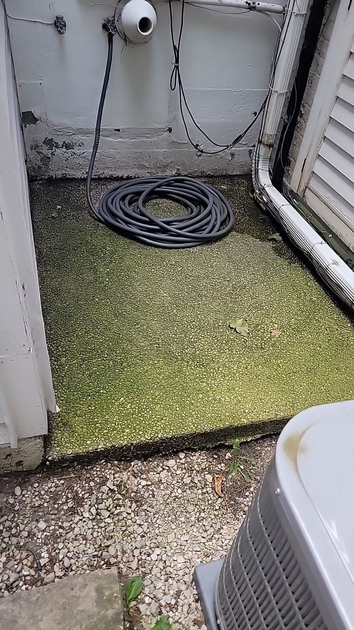Housewashing  using Algaecide, soft wash soap by Northern Power Washing LLC.