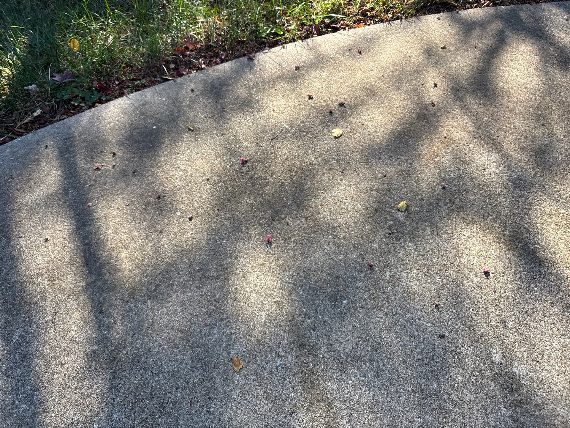 Concrete Deck using TopSeal by DuraSeal
