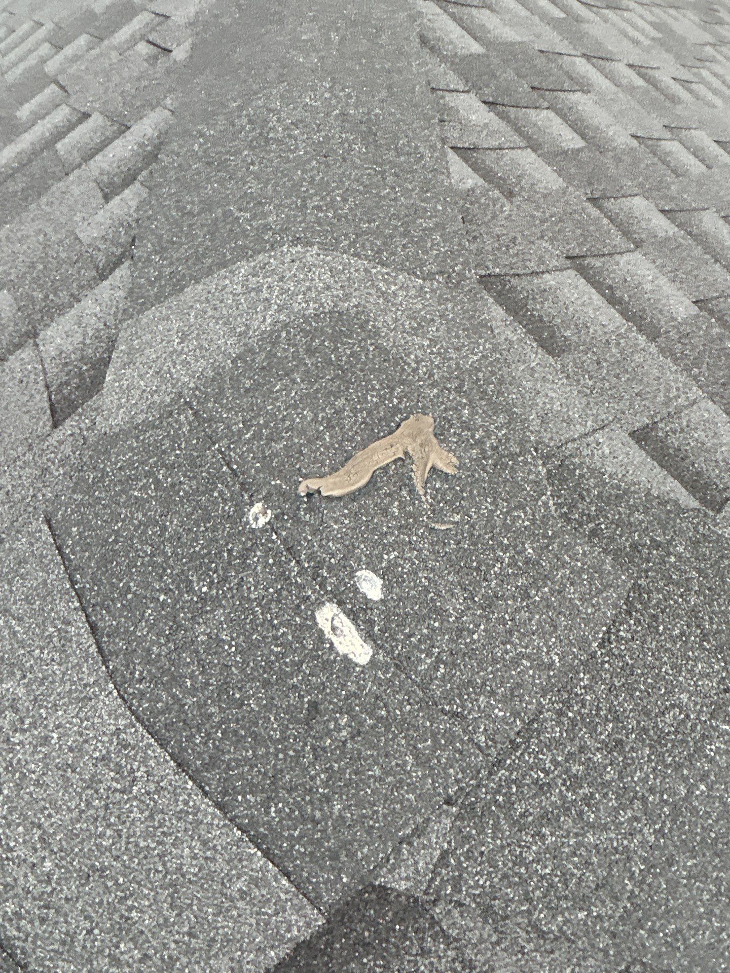 Roof Repair Cypress by Roof Repair Services LLC