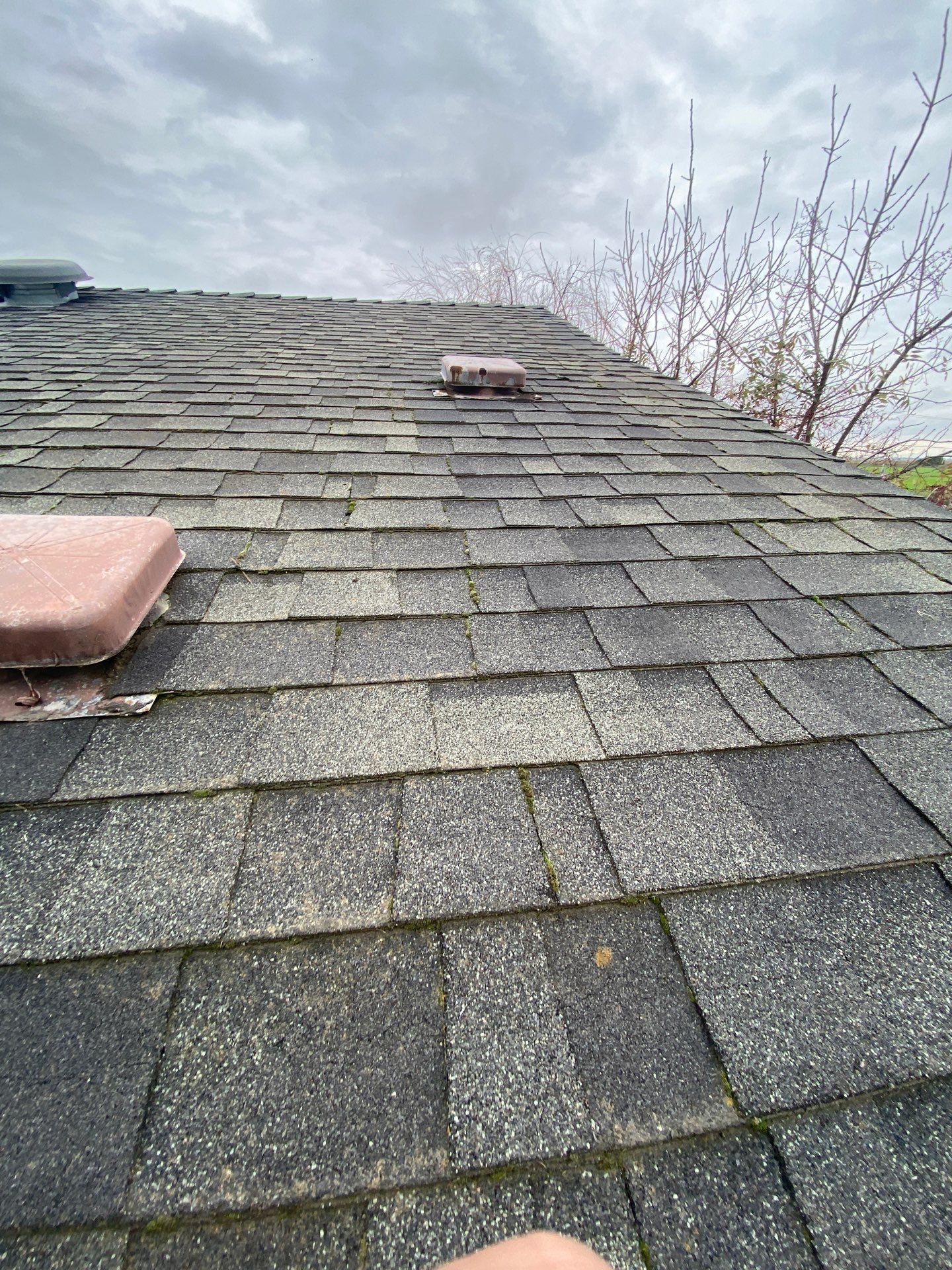 Roof Rejuvenation using Roof Maxx Treatment by Roof Maxx of Folsom