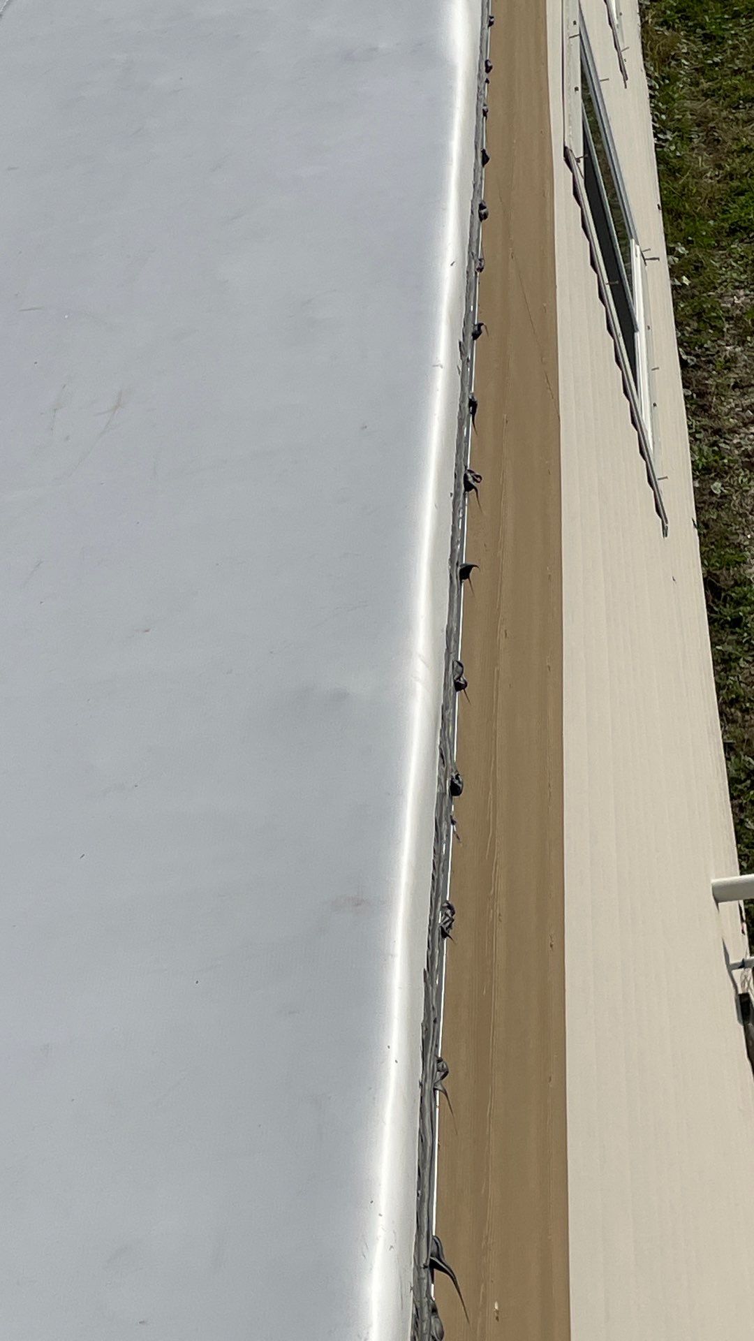 Seashore TPO by Bayfront Roofing and Construction
