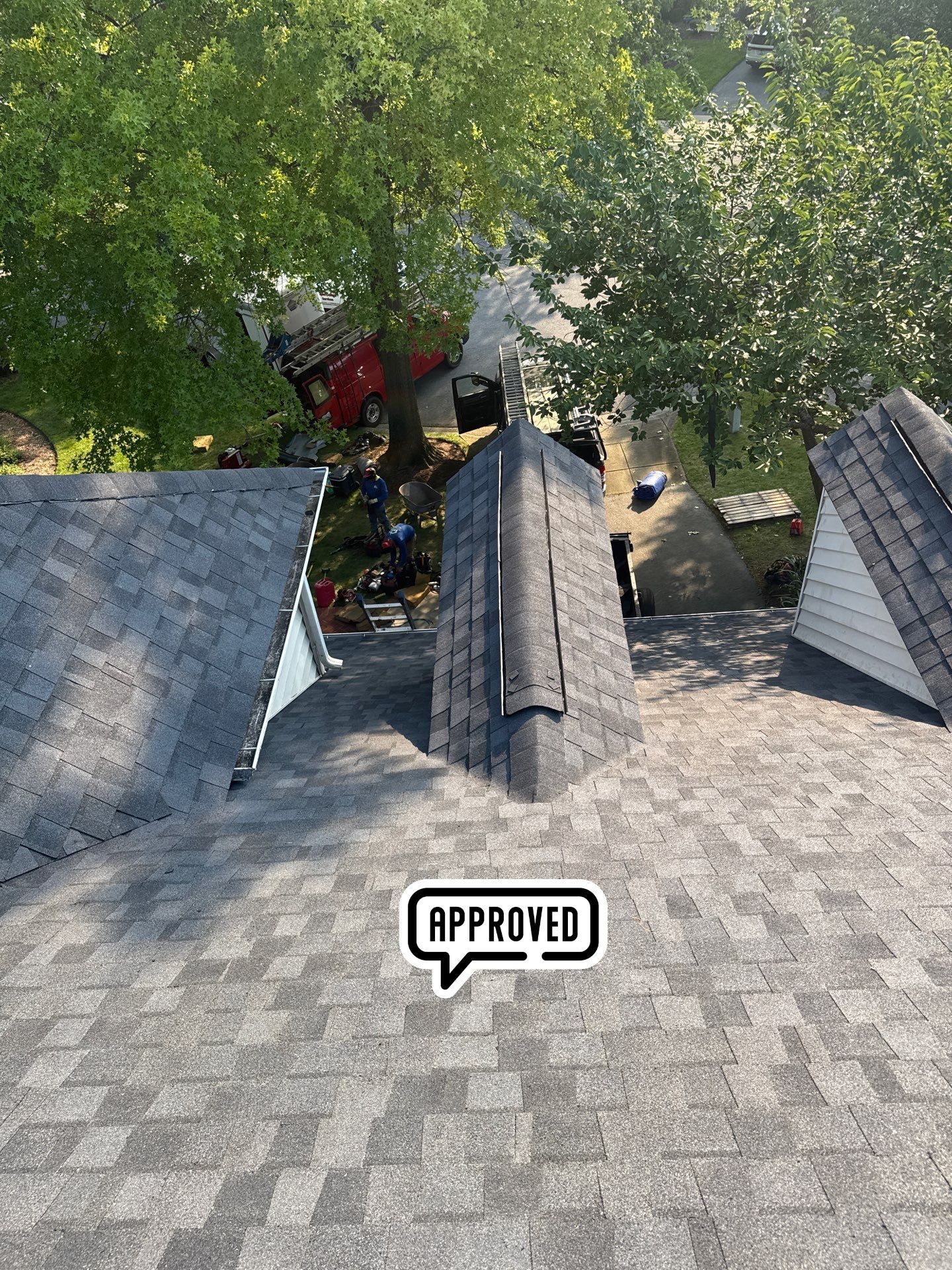 New Shingle Roof & New Gutters and downspouts with covers by Alpha Design Services