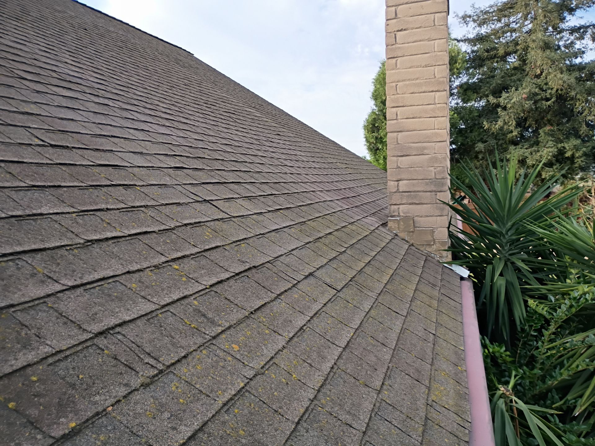 Roof Rejuvenation using Roof Maxx Treatment by Roof Maxx of Folsom