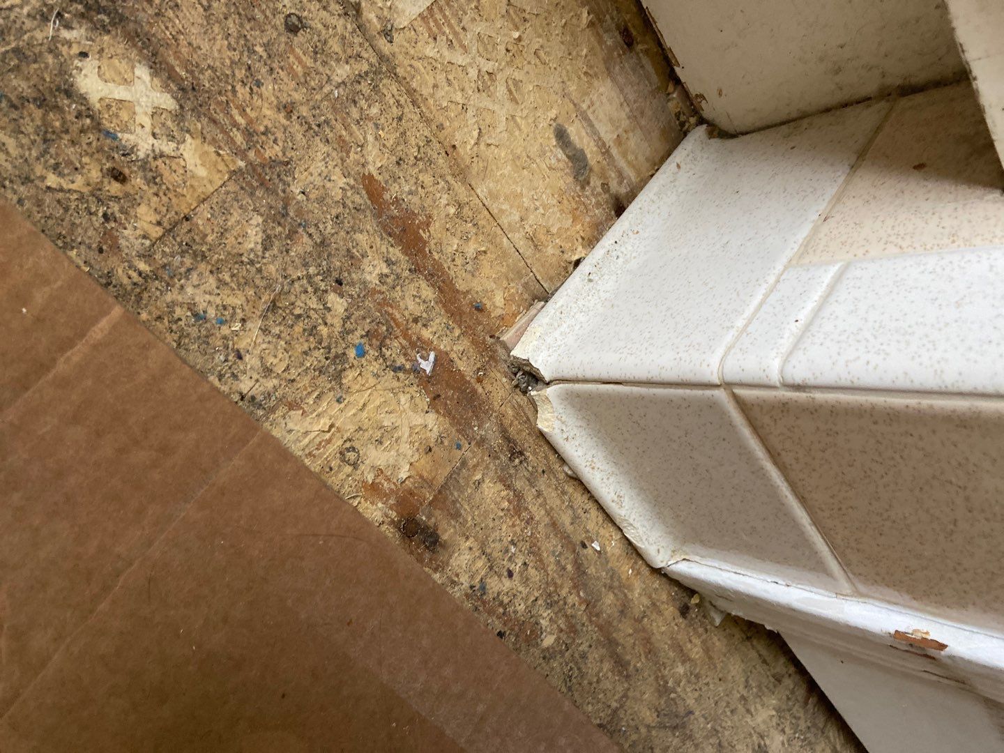 Water Damage in from upstairs sewage backup.  by ANR Restoration