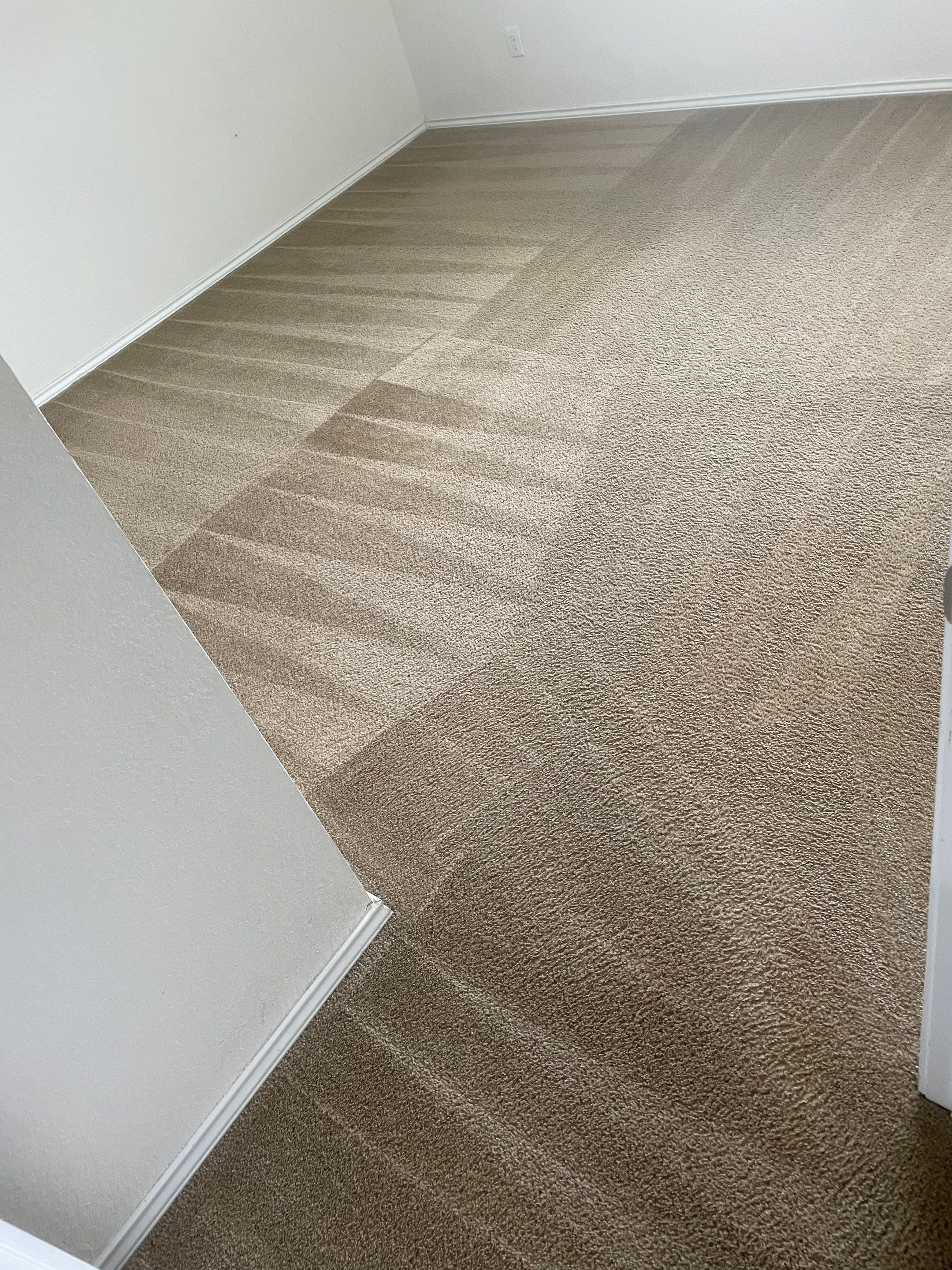 professional carpet cleaning service displayed with visible contrast between cleaned and uncleaned sections in a residential room