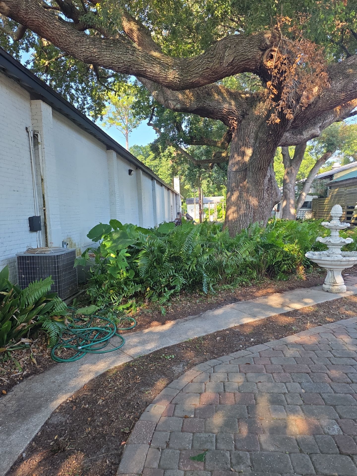 Commercial Property | Clean Up & Tree Removal by ProGreen Services