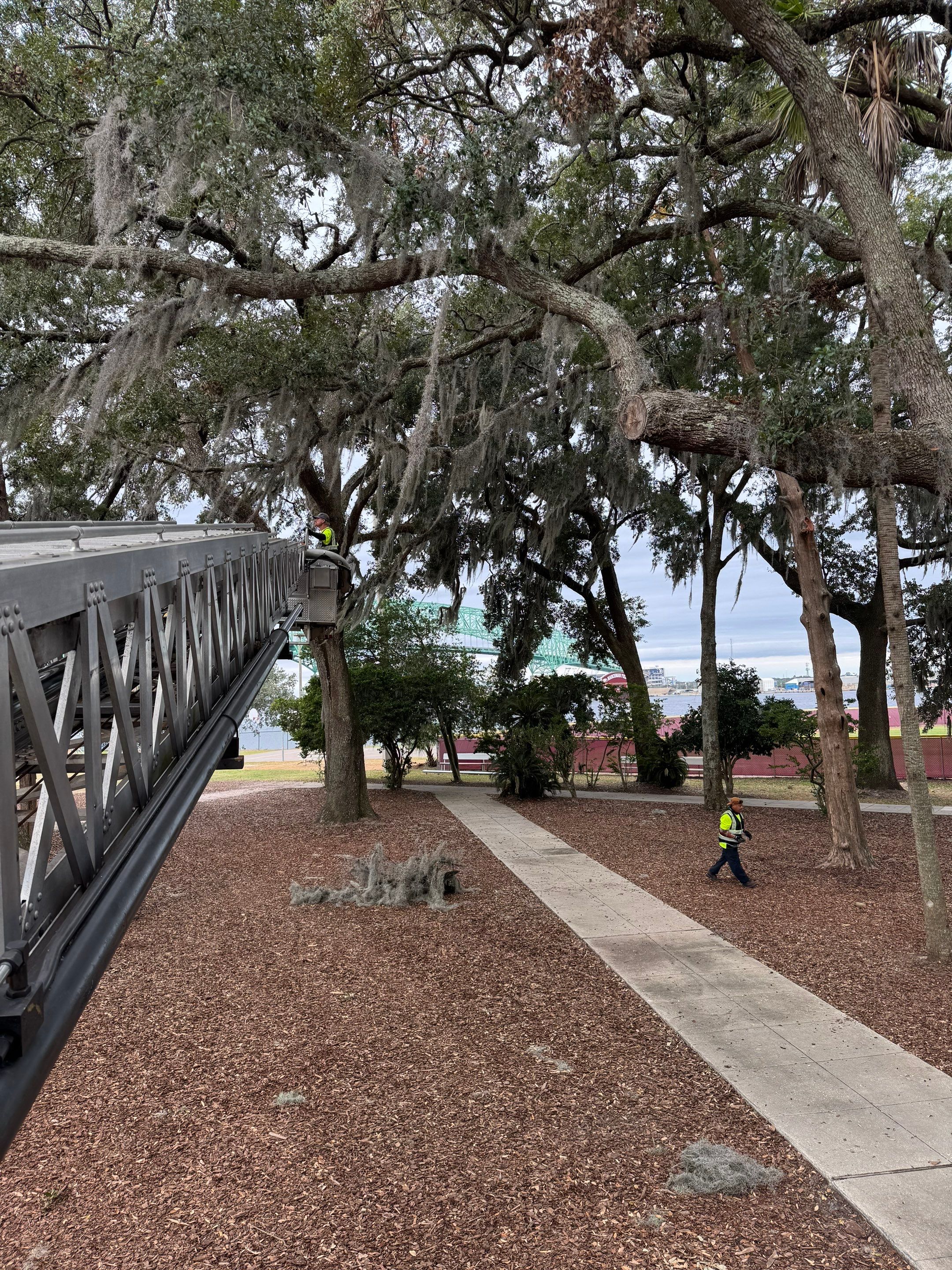 Volunteer Work | Episcopal High School of Jacksonville by ProGreen Services